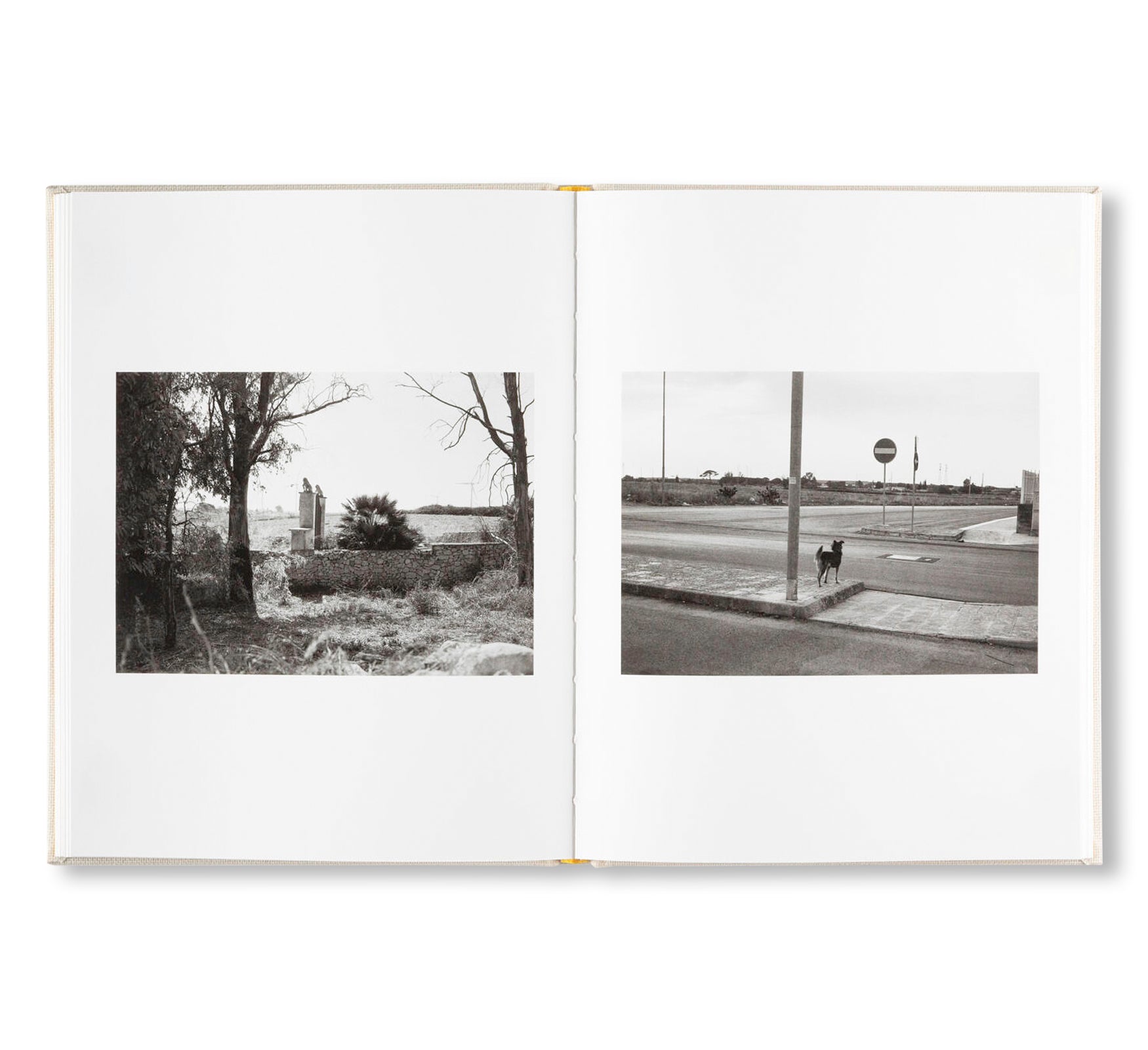 INSIEME by Irina Rozovsky, Mark Steinmetz