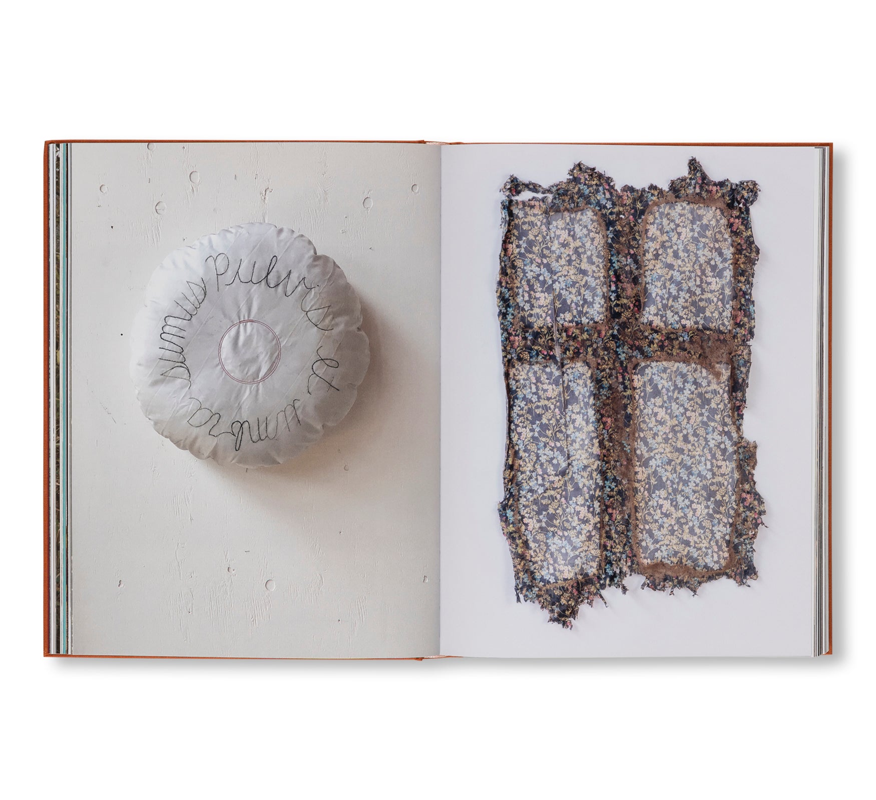 AFTER LIFE by Sam Falls