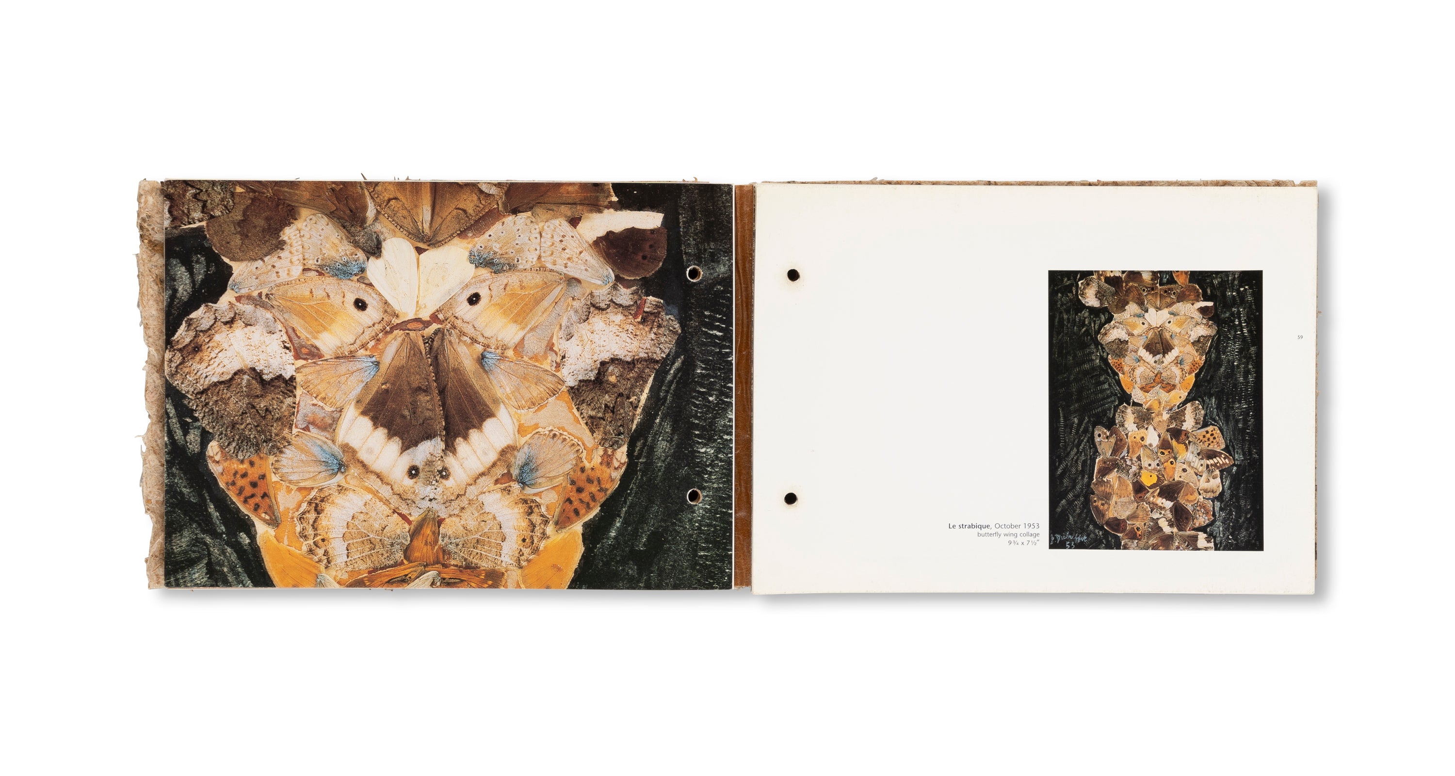 THE RADIANT EARTH by Jean Dubuffet [COVER A]