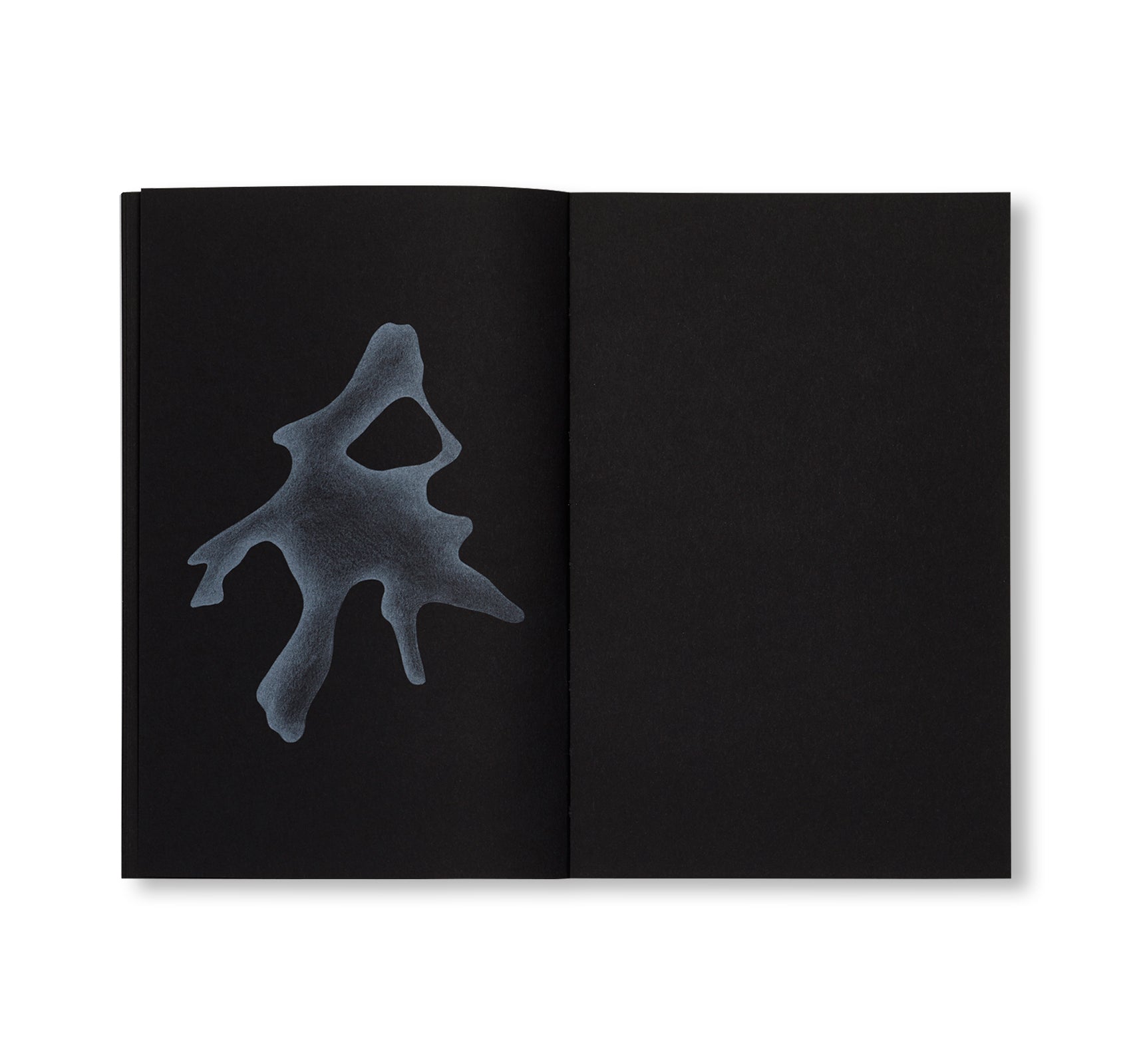 CORPS FLOTTANTS by Constance Guisset