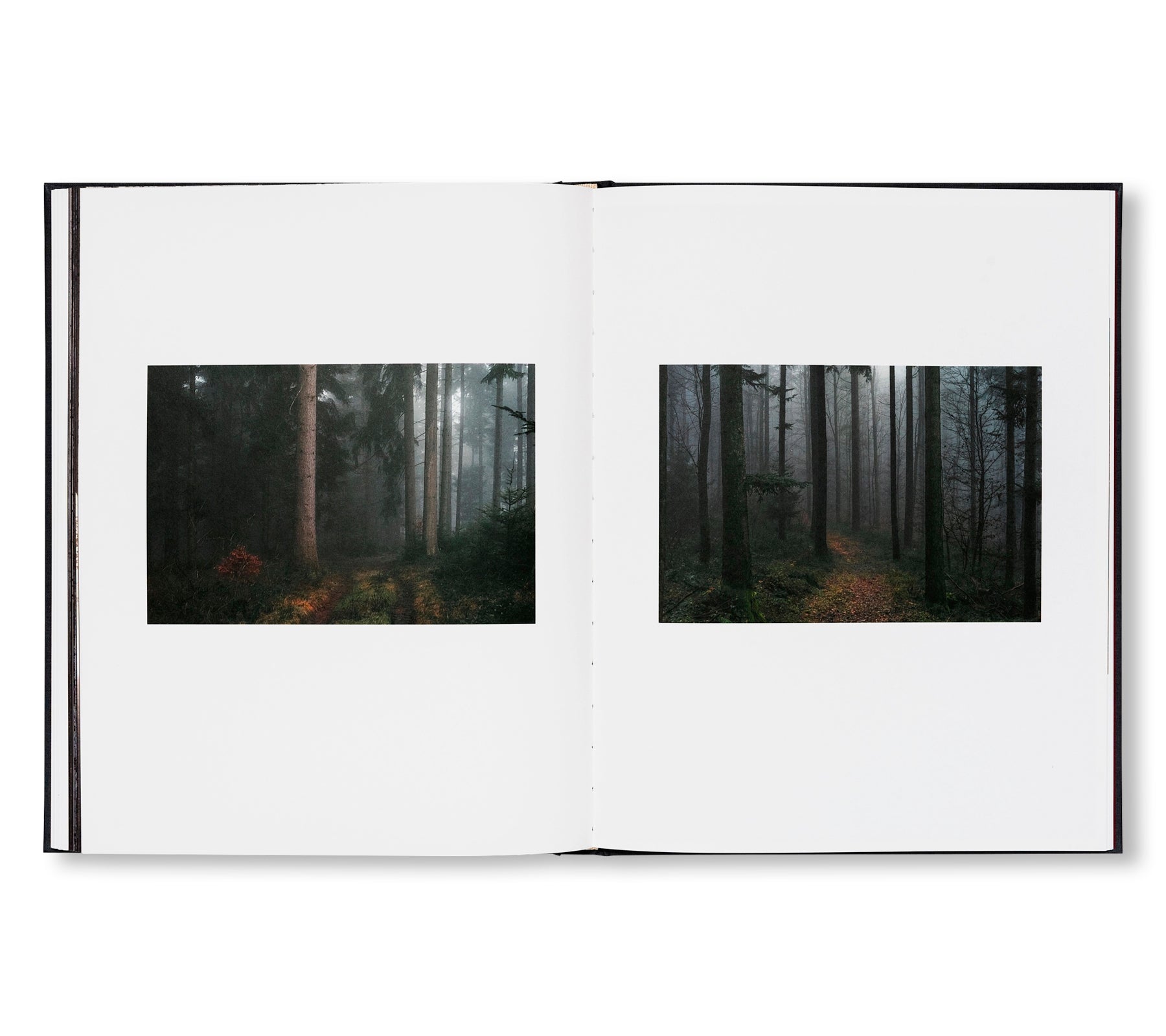 THE ENCOUNTER by Stéphan Crasneanscki [SIGNED]