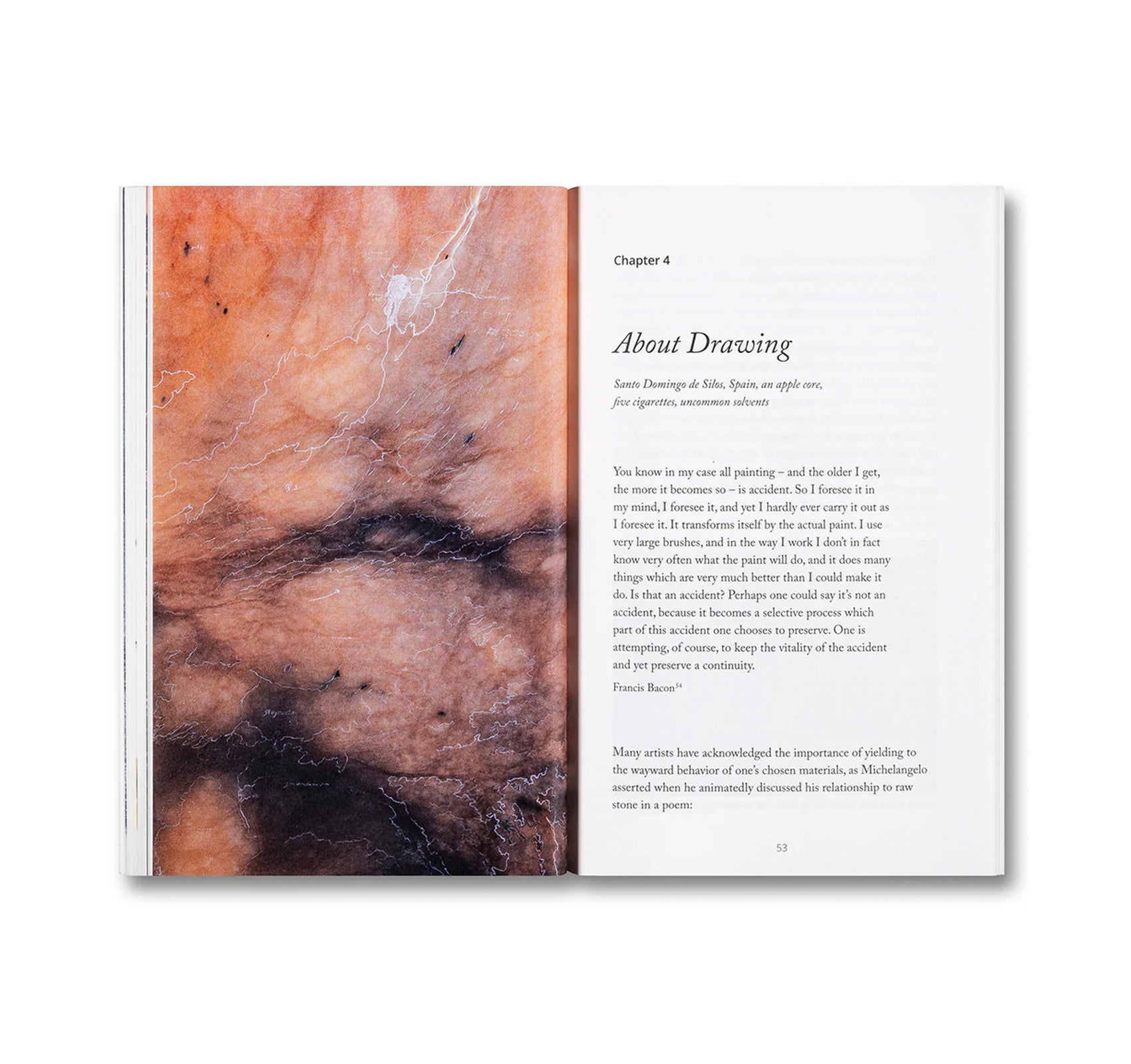 BLIND FOLLY OR HOW TACITA DEAN DRAWS by Michelle White, Tacita Dean