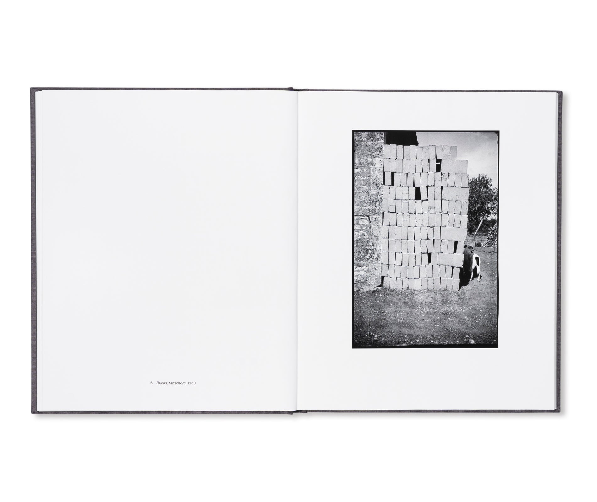 SHAPE, GROUND, SHADOW: THE PHOTOGRAPHS OF ELLSWORTH KELLY by Ellsworth Kelly