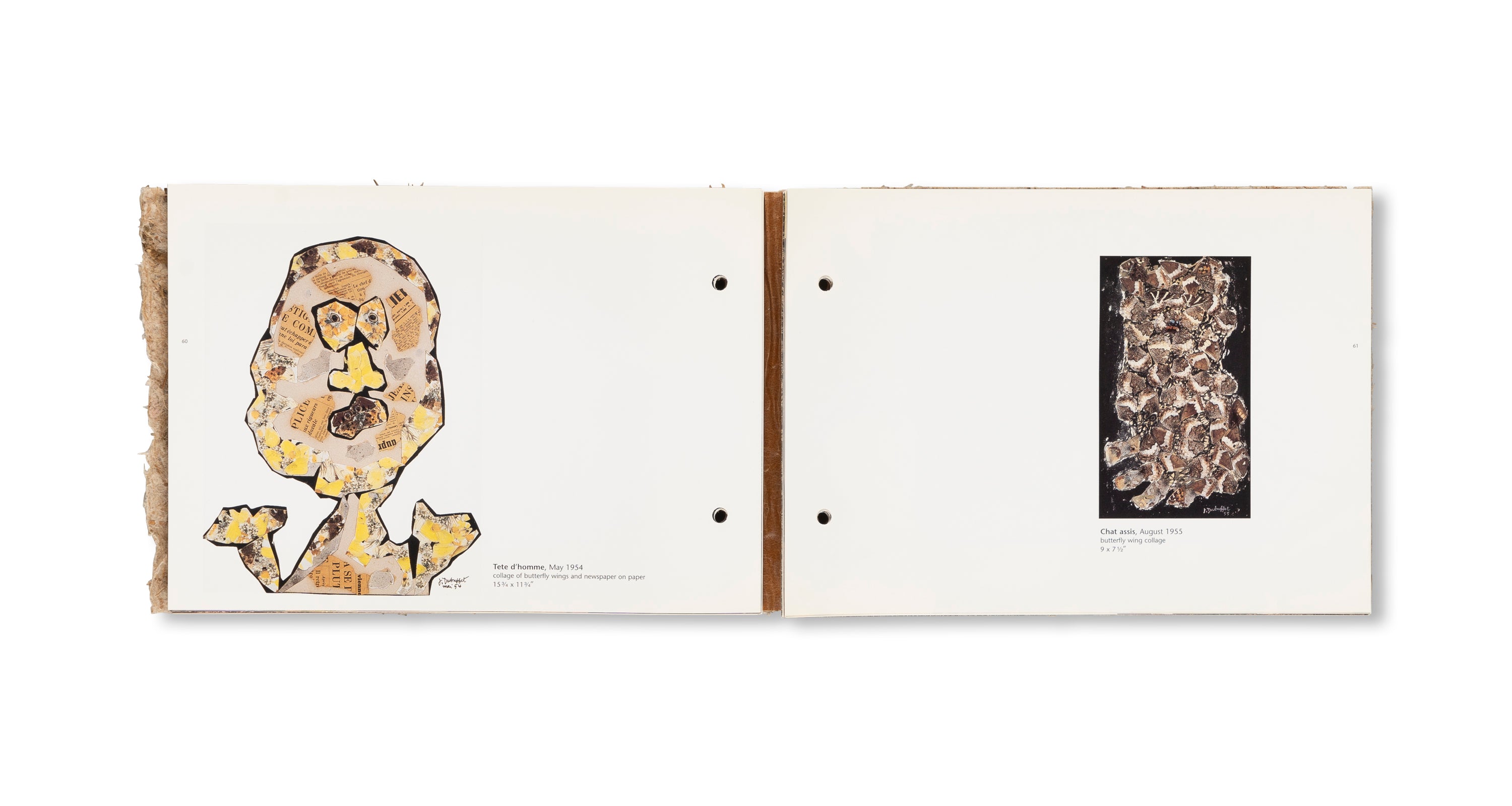 THE RADIANT EARTH by Jean Dubuffet [COVER A]