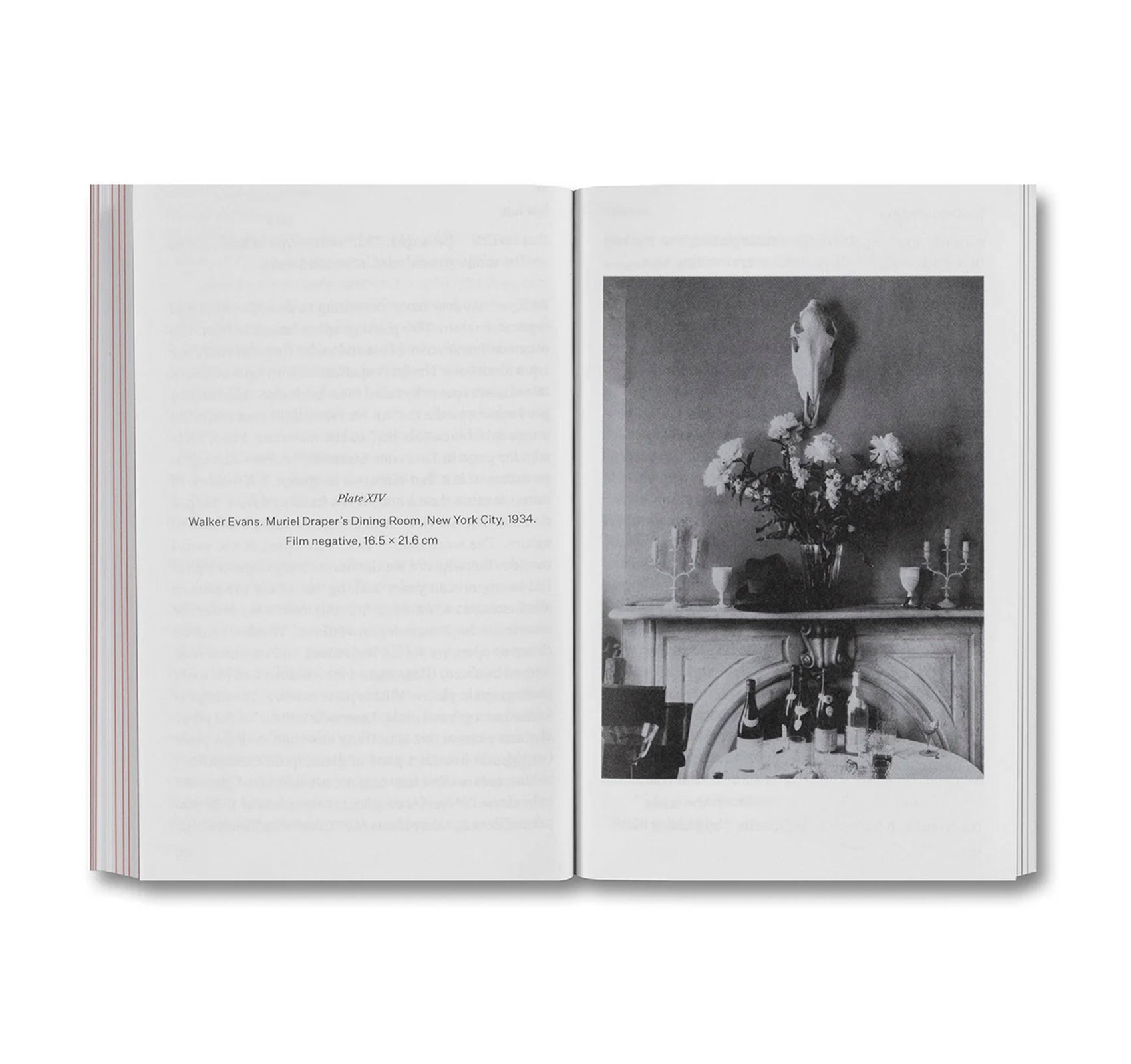 THE DEVOURING EYE: PHOTOGRAPHY AND THE MOUTH by Olivier Richon