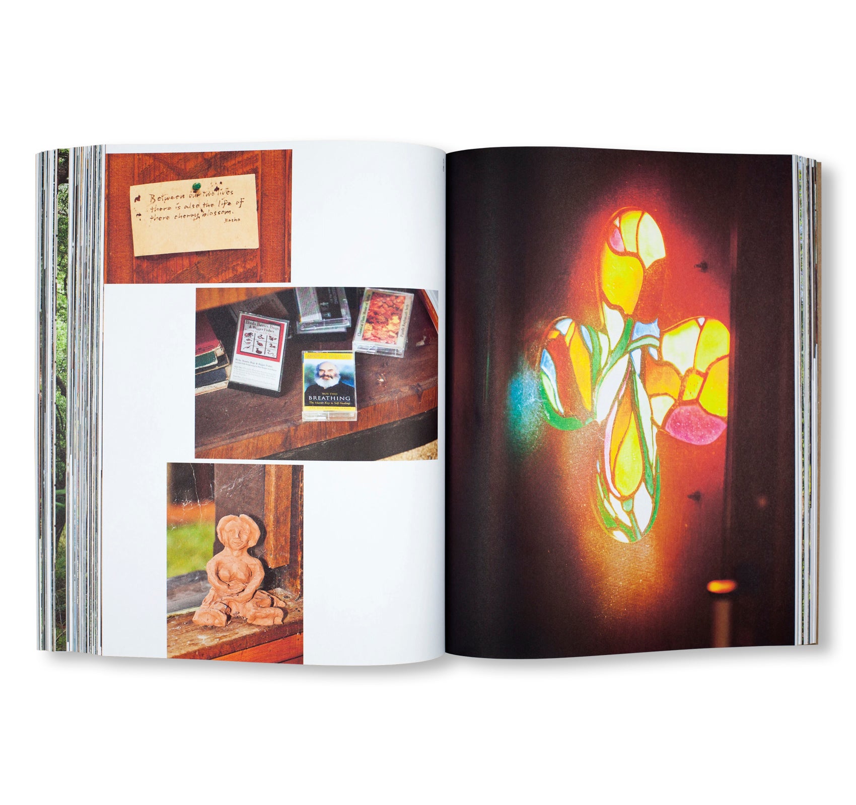 HANDMADE UTOPIA: BACK-TO-THE-LAND ARCHITECTURE IN NORTHERN CALIFORNIA by David Jacob Kramer, Michael Schmelling