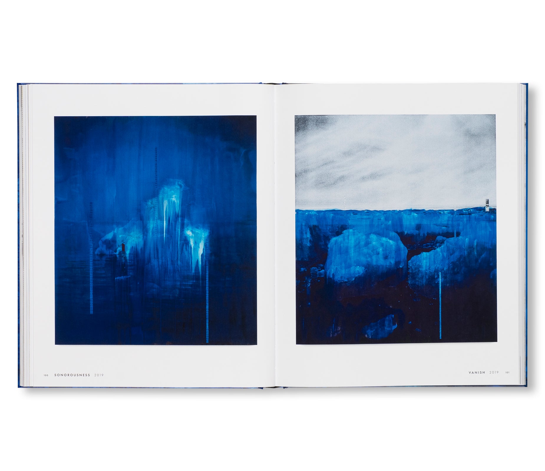 SOURCE NOTES by Lorna Simpson