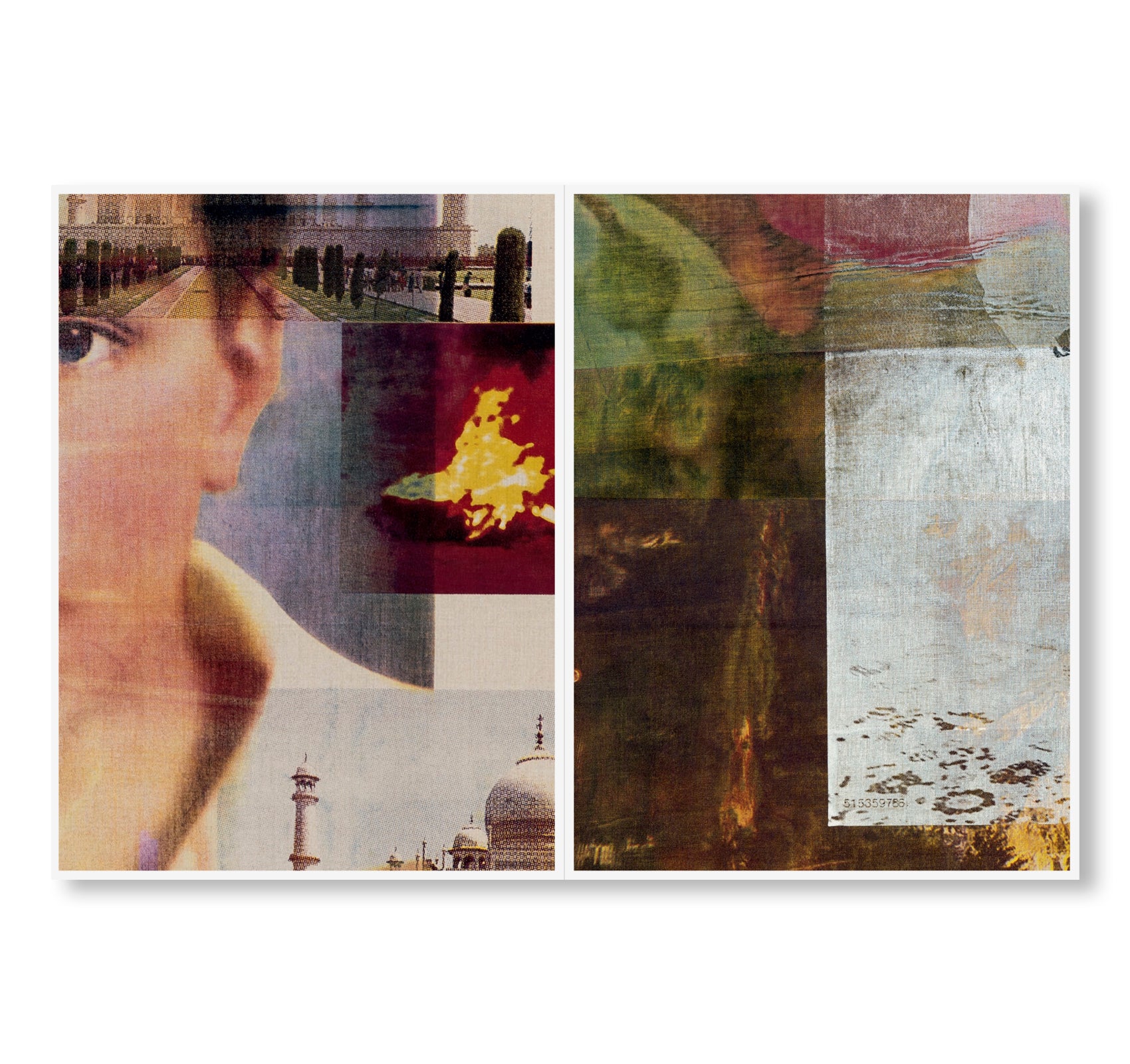 PAINTINGS by Gus Van Sant [ENGLISH EDITION]