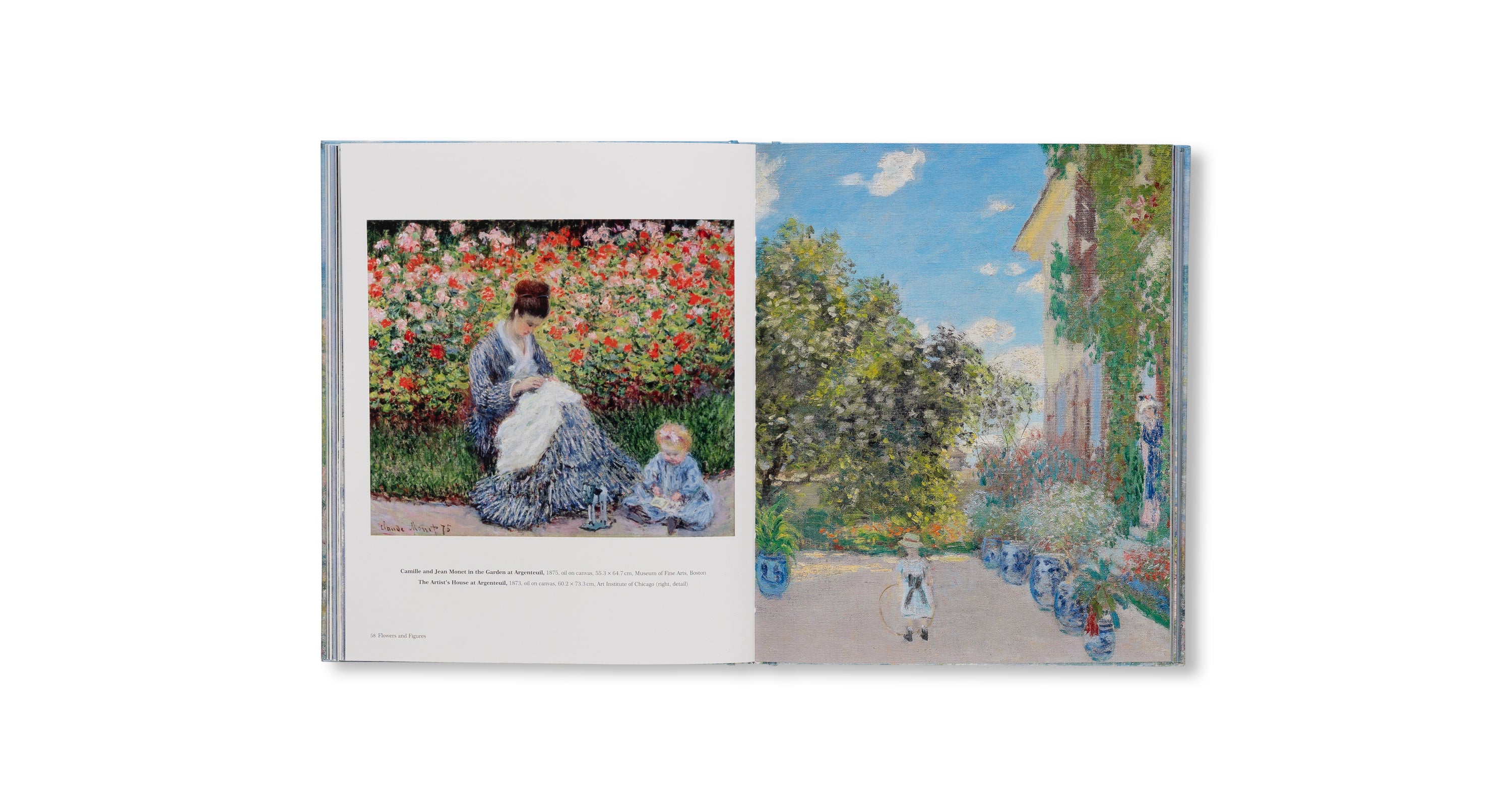 MONET - THE BIGGER PICTURE by Anne Sefrioui