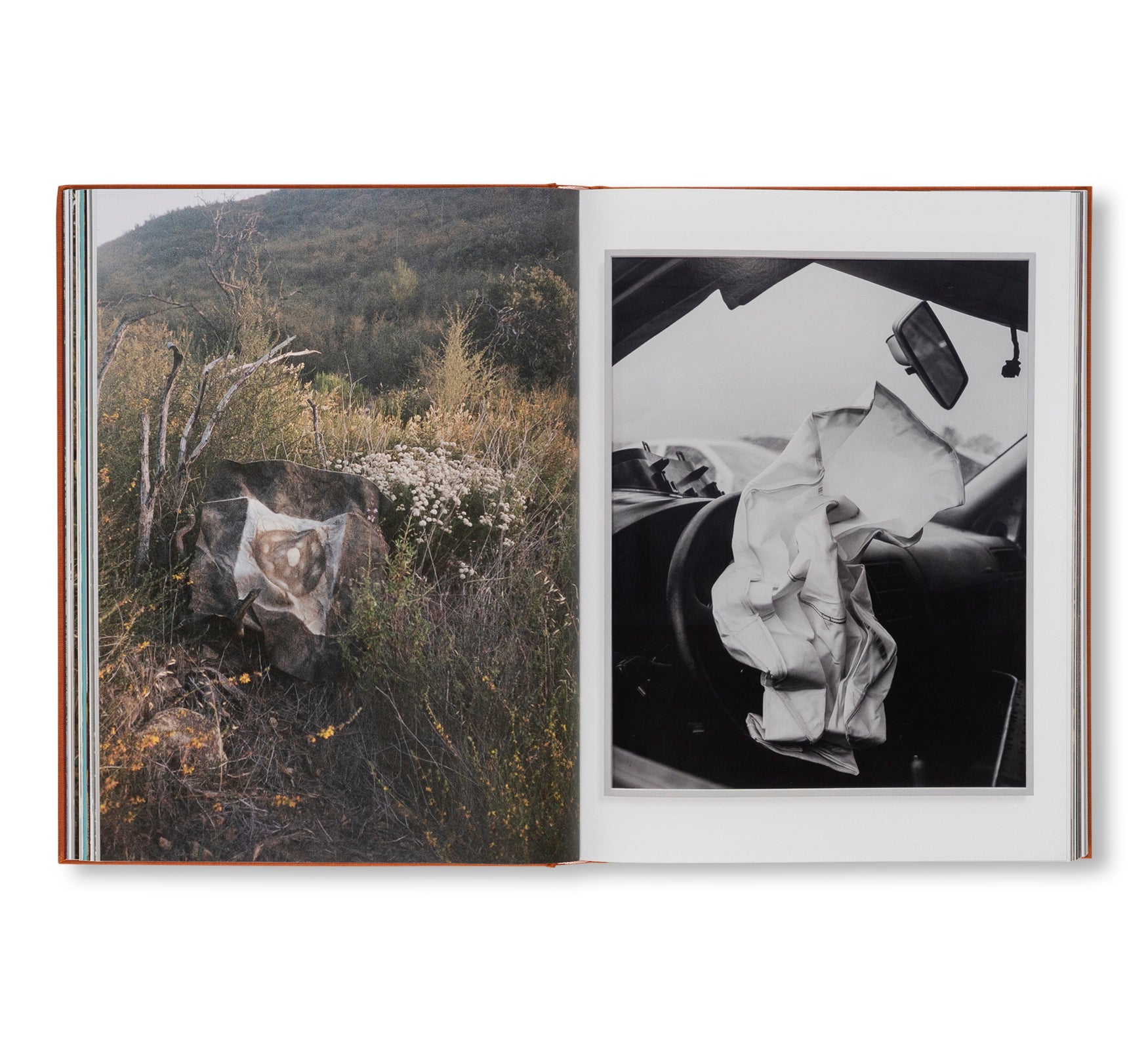 AFTER LIFE by Sam Falls