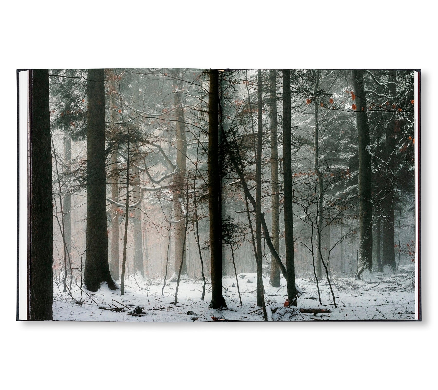 THE ENCOUNTER by Stéphan Crasneanscki [SIGNED]