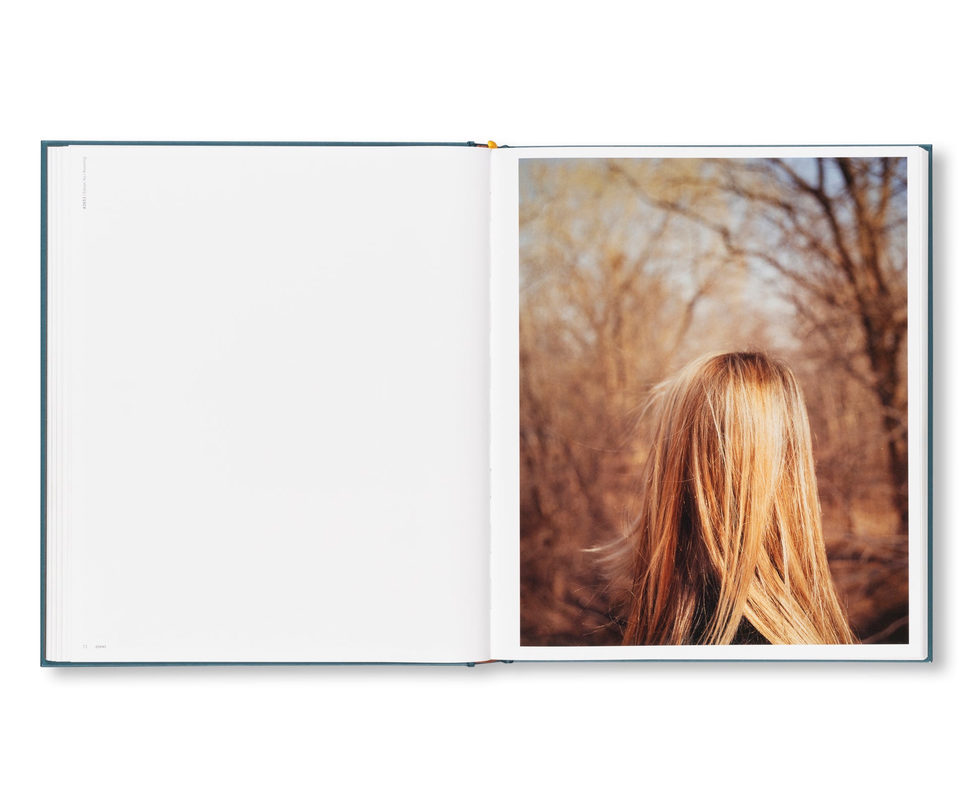 INTIMATE DISTANCE: OVER THIRTY YEARS OF PHOTOGRAPHS, A CHRONOLOGICAL ALBUM  by Todd Hido [REVISED AND EXPANDED EDITION]