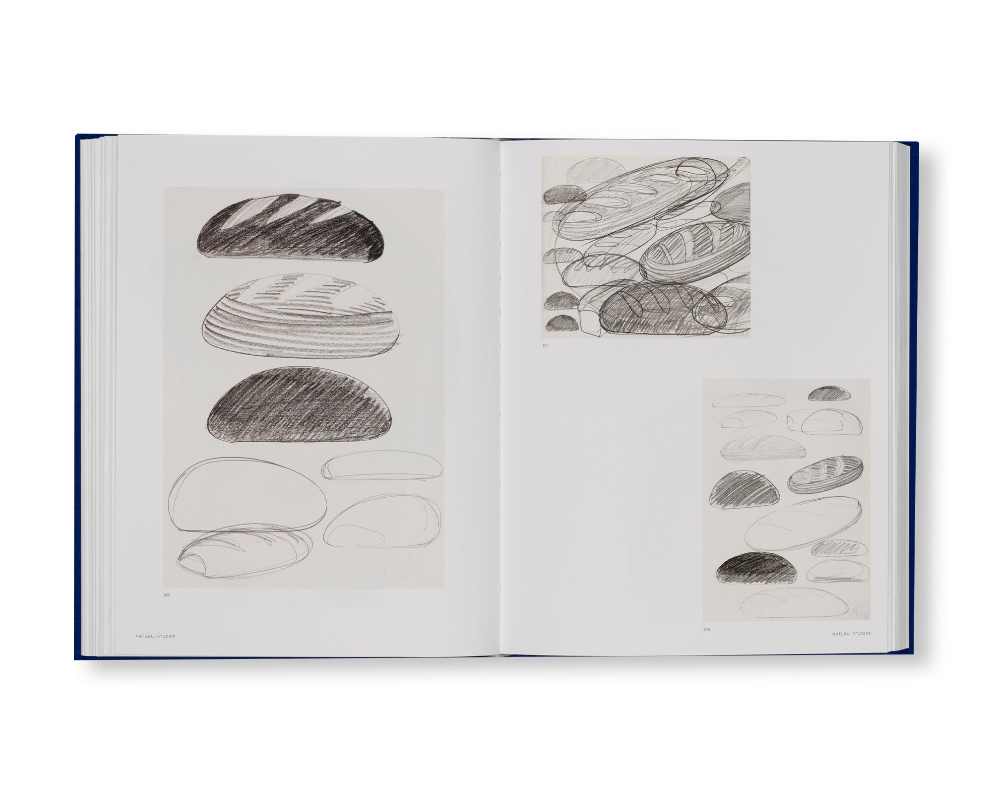 WORKS ON PAPER VOLUME I by Tony Cragg