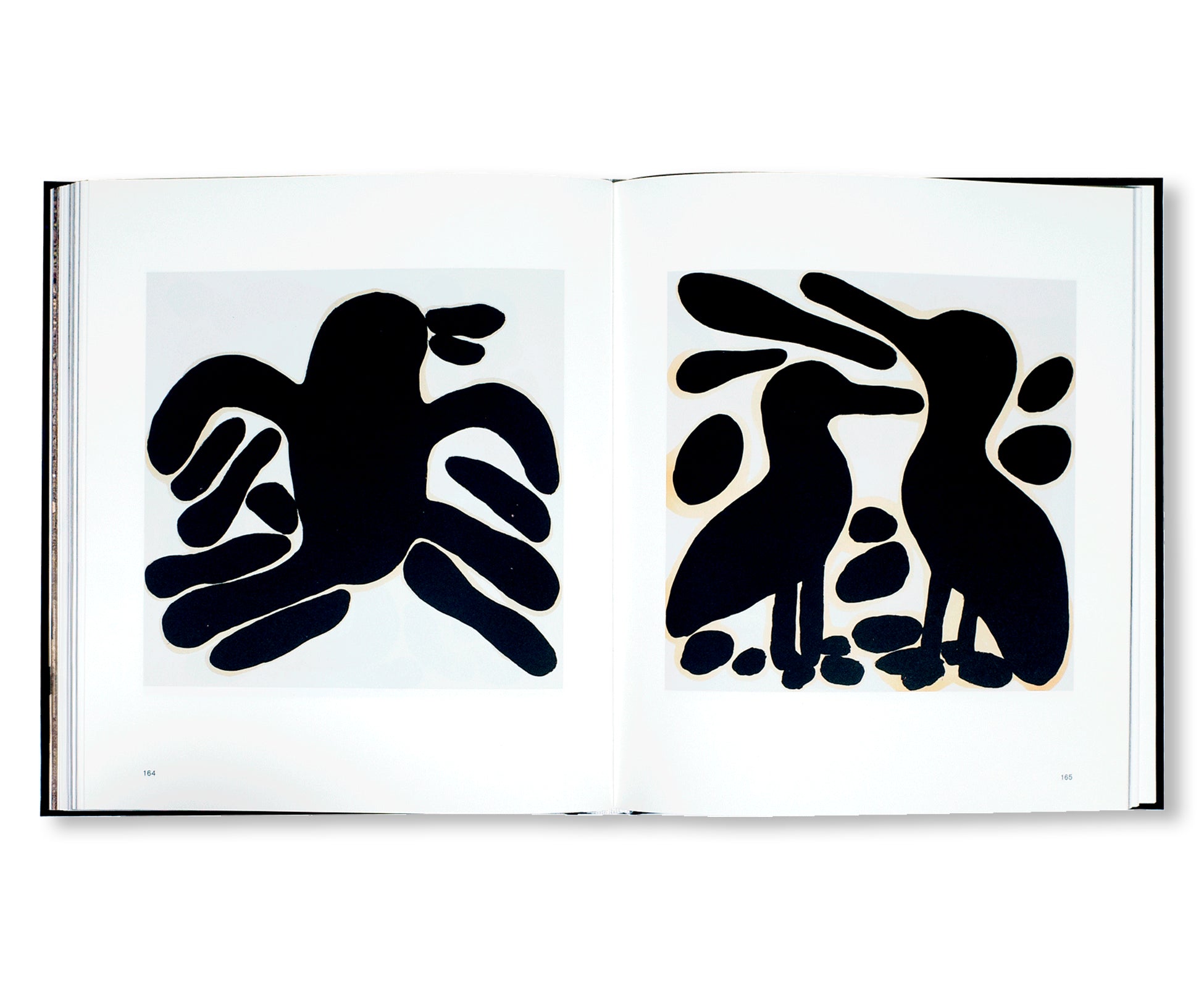 SOLANGE PESSOA (2023) by Solange Pessoa