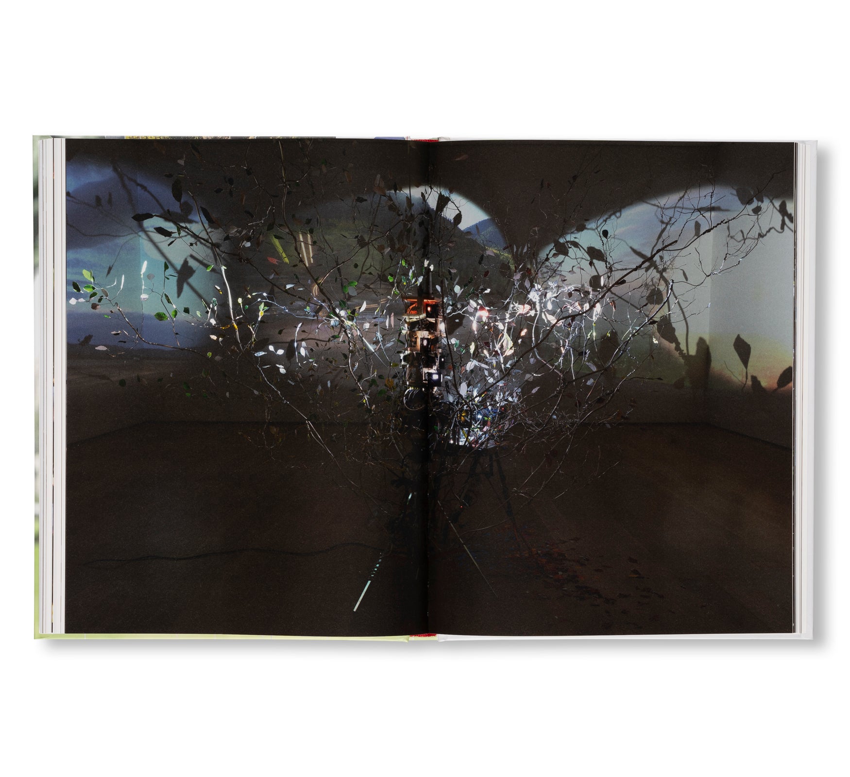 SARAH SZE by Sarah Sze