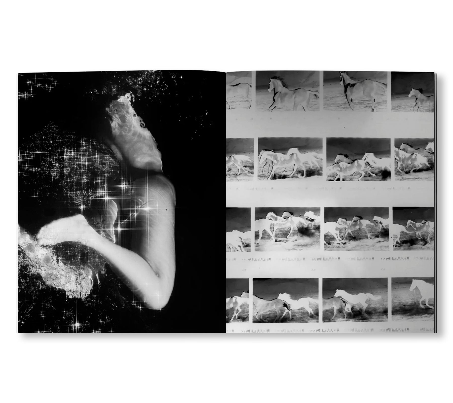 MONOGRAM 12: THE DAYS by David Black