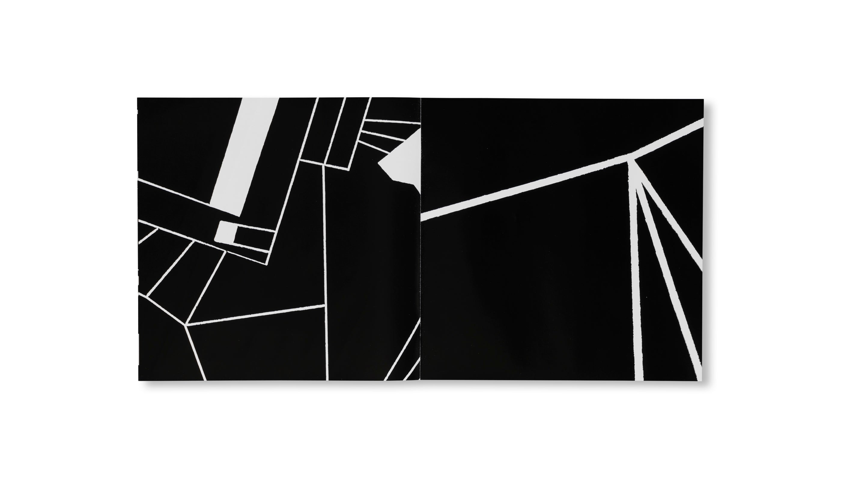 DANČE DELUXE by Olaf Nicolai, Mariana Pende