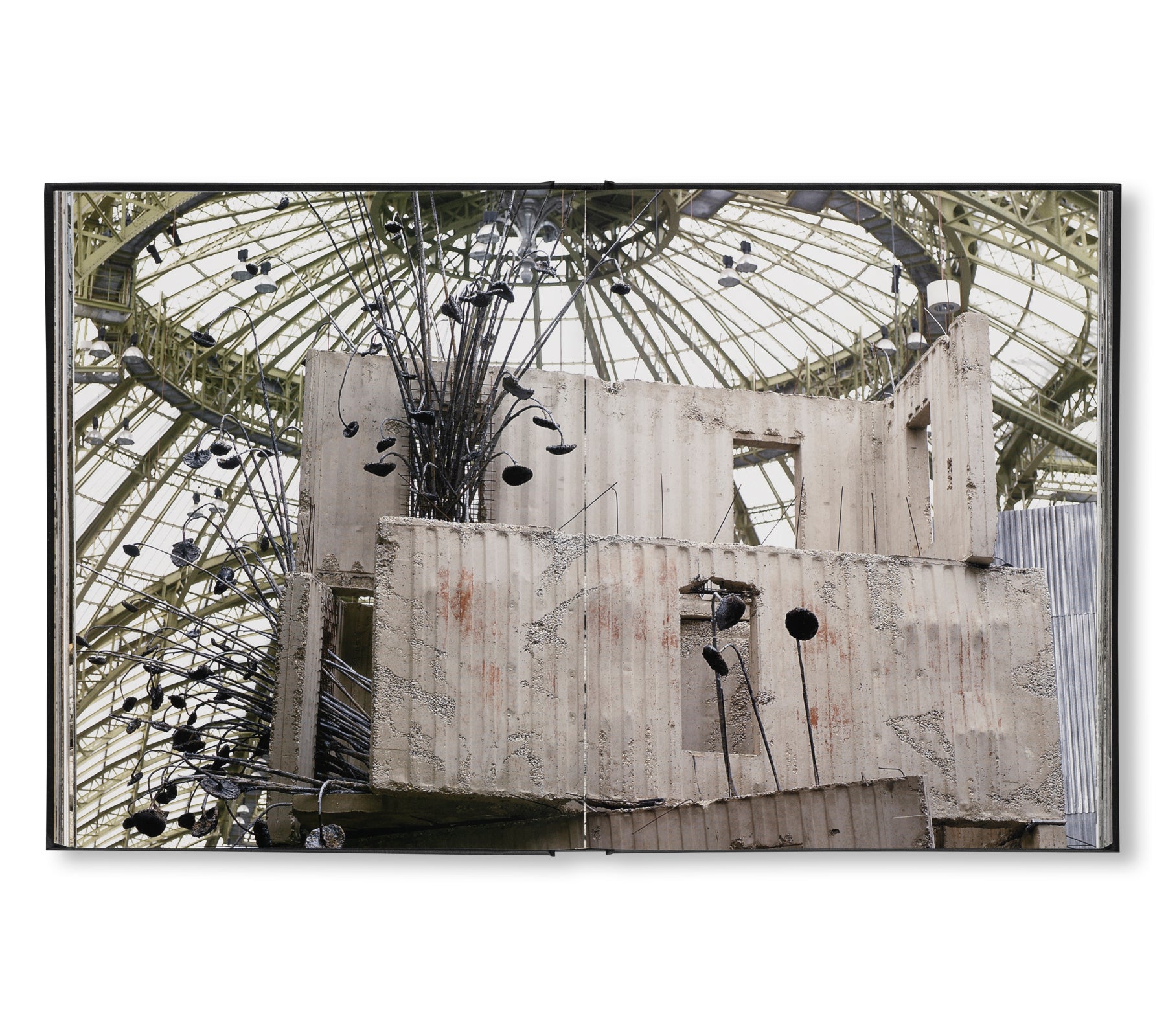ANSELM KIEFER - STUDIO by Danièle Cohn