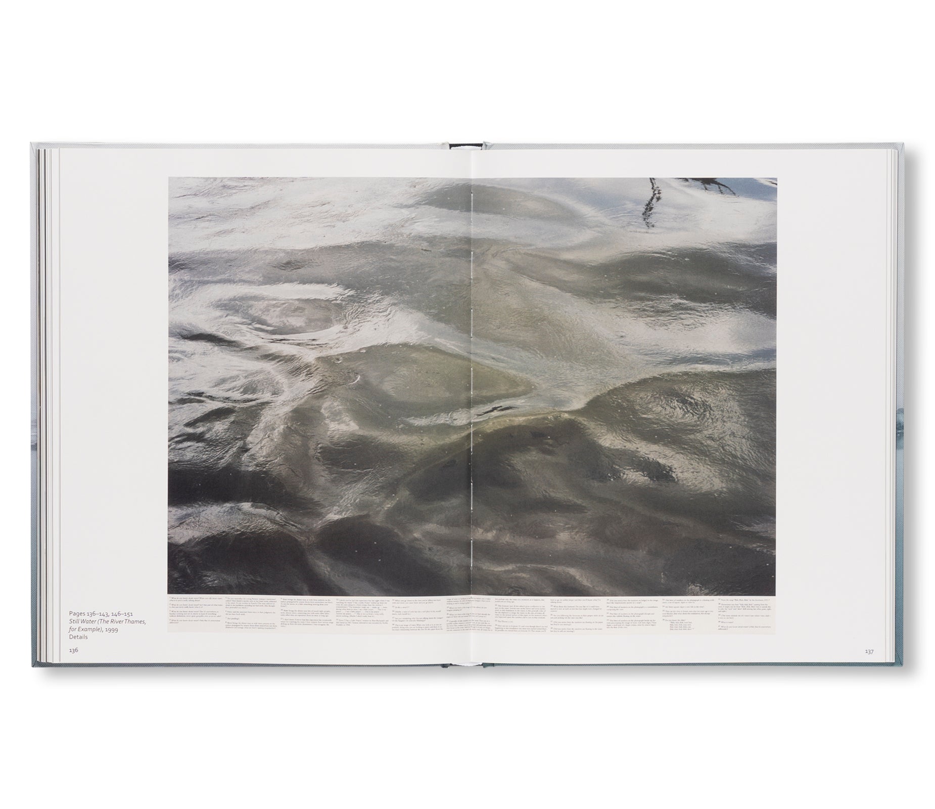 RONI HORN: WATER WATER ON THE WALL, YOU’RE THE FAIREST OF THEM ALL by Roni Horn