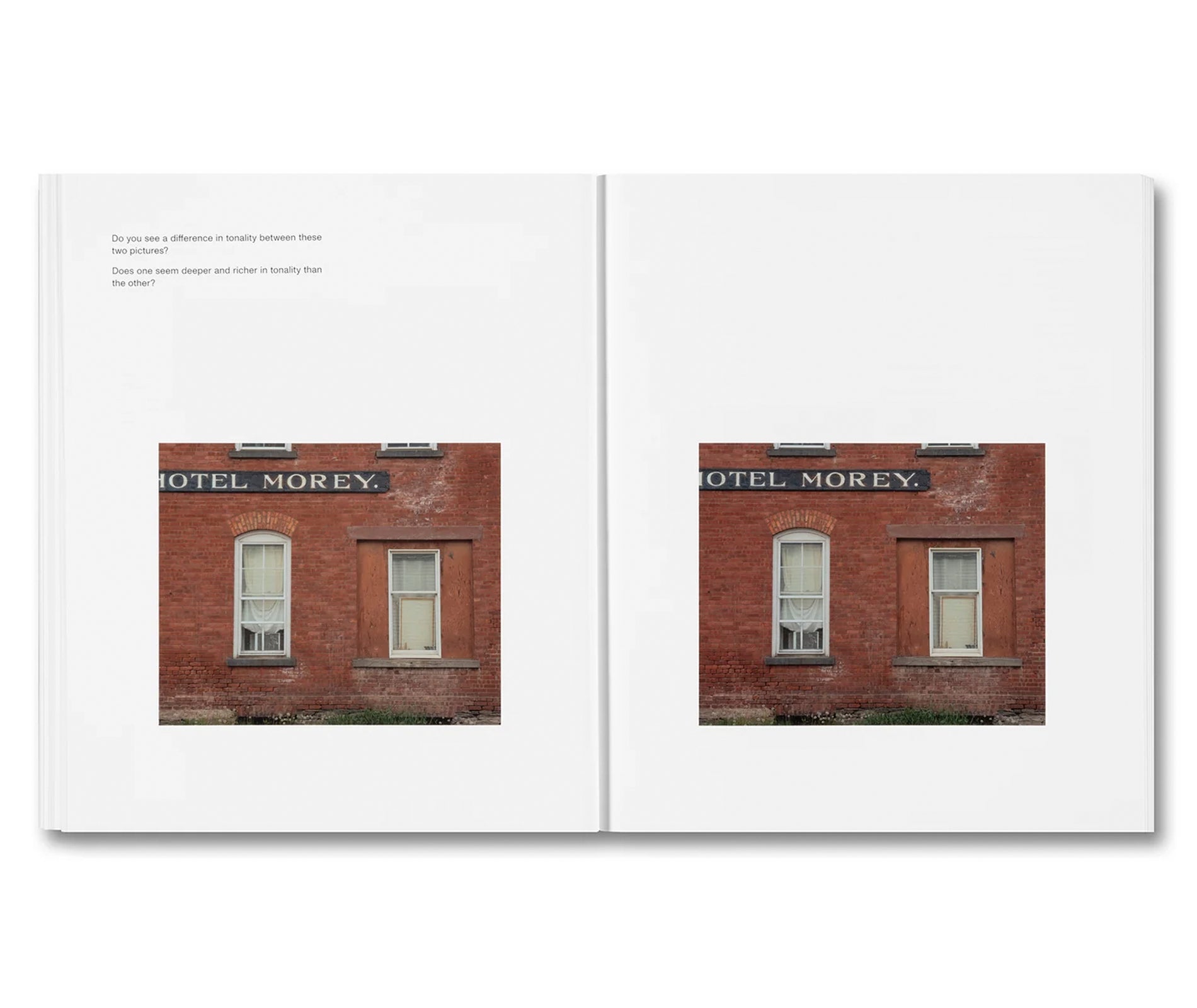 THE MENTAL IMAGE by Stephen Shore