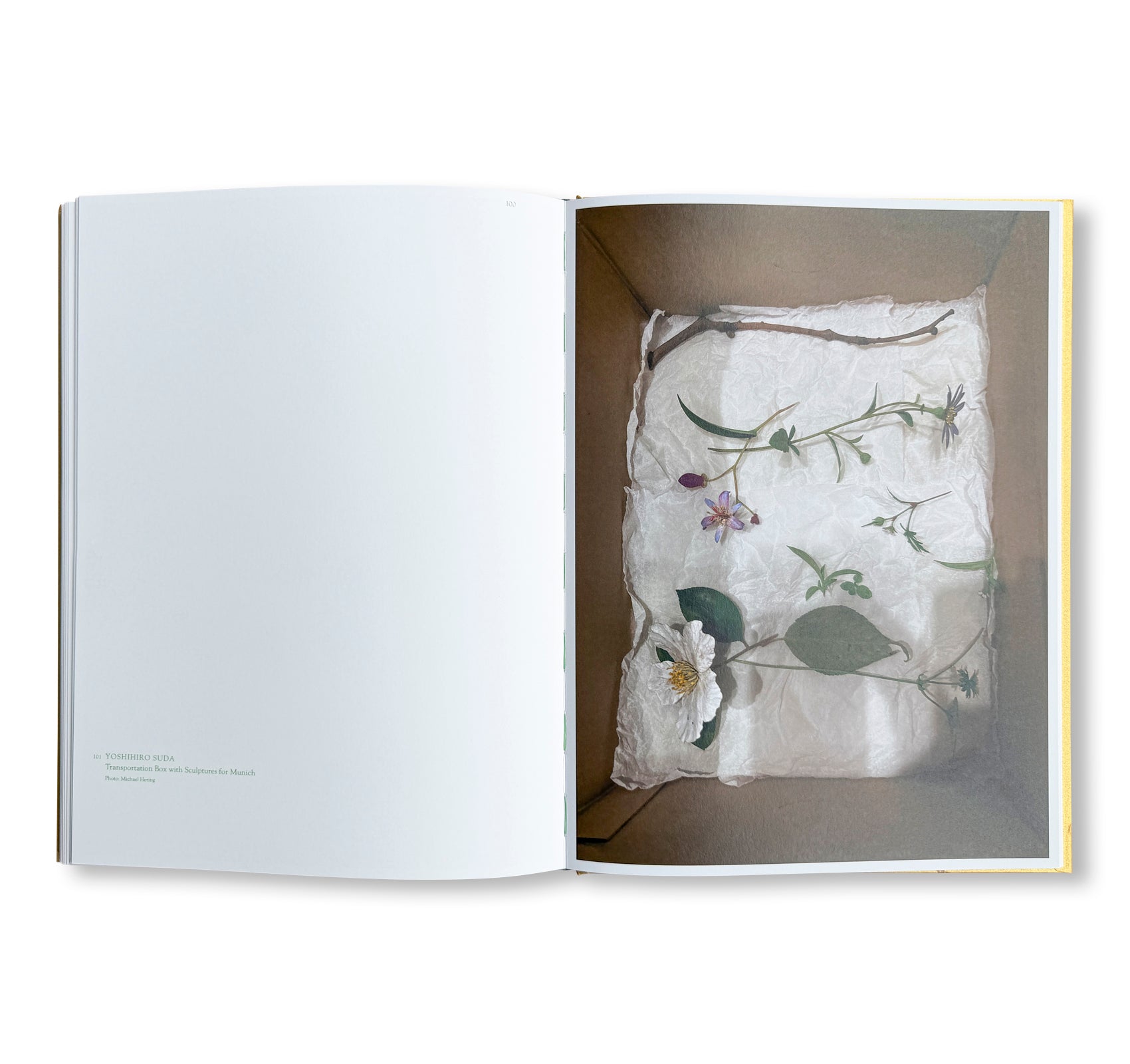 YOSHIHIRO SUDA: GARDEN EDEN by Yoshihiro Suda