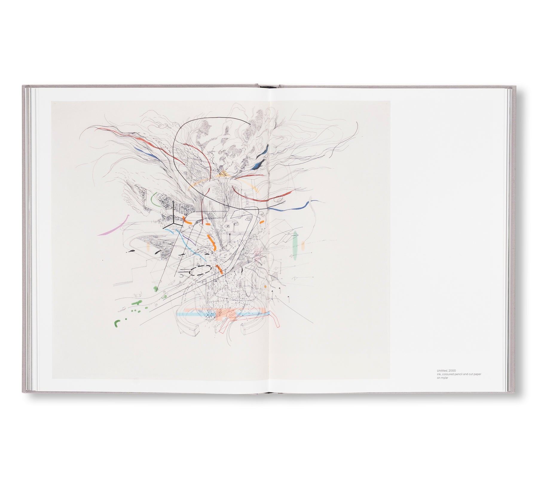 A TRANSCORE OF THE RADICAL IMAGINATORY by Julie Mehretu
