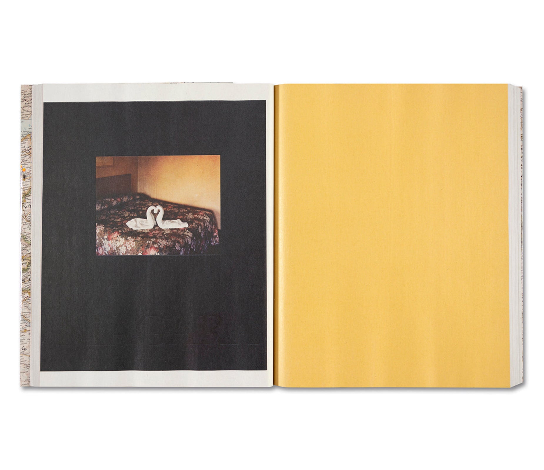 GATHERED LEAVES ANNOTATED by Alec Soth