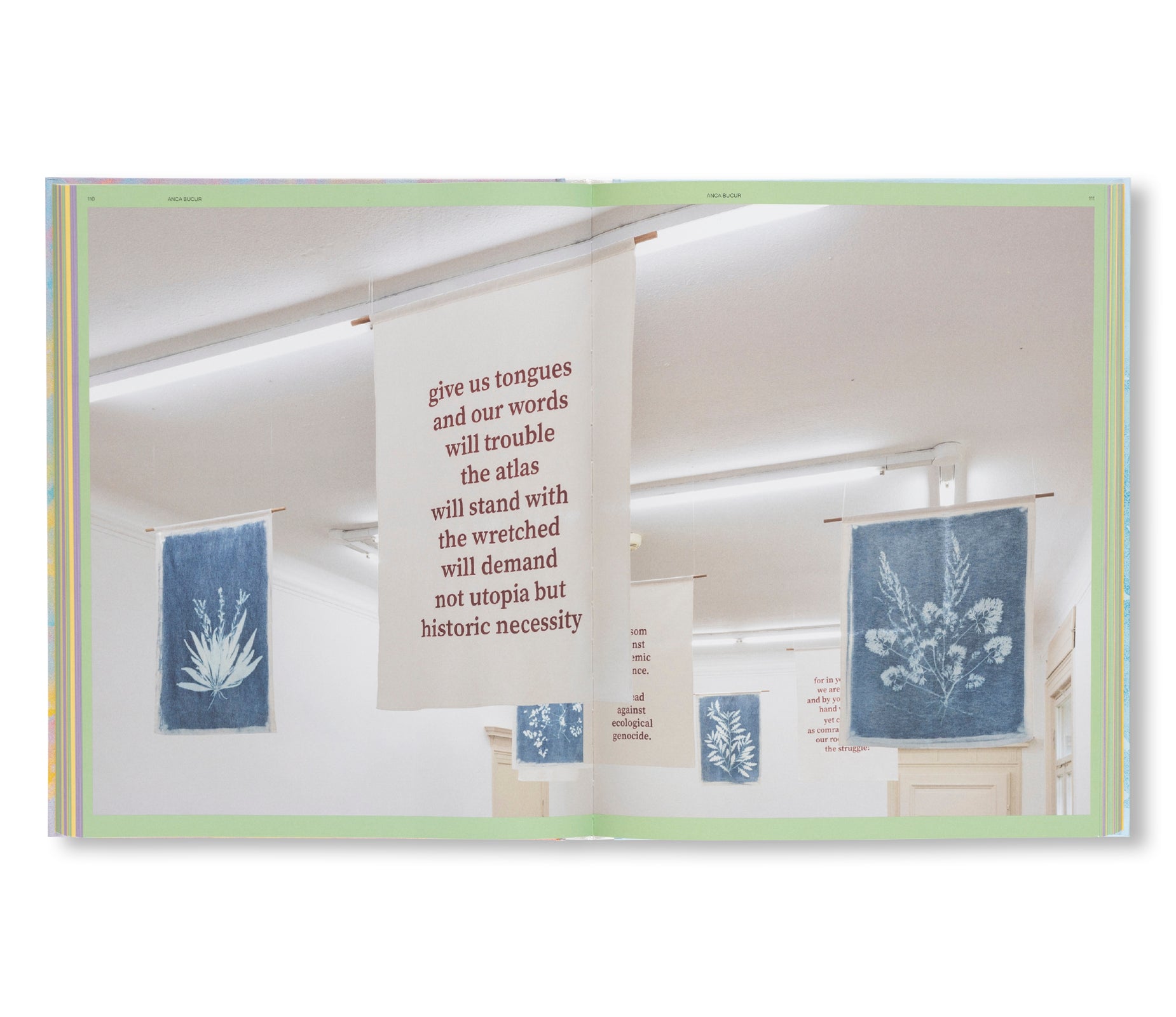 THE SENSES OF PLANTS