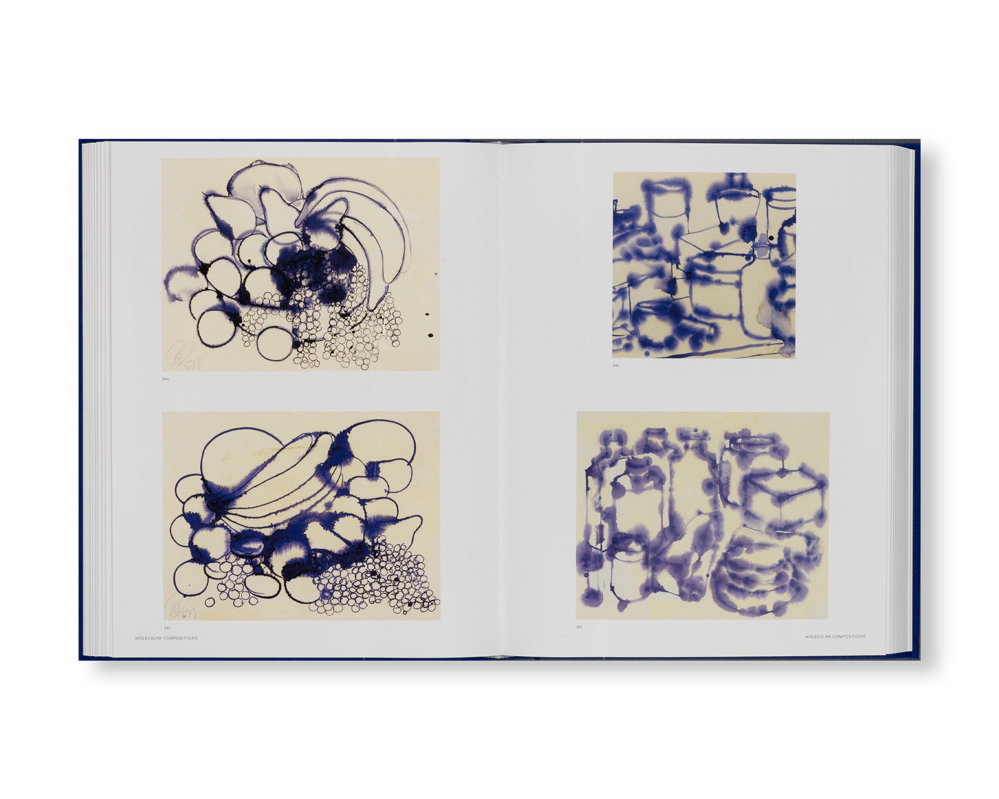 WORKS ON PAPER VOLUME I by Tony Cragg