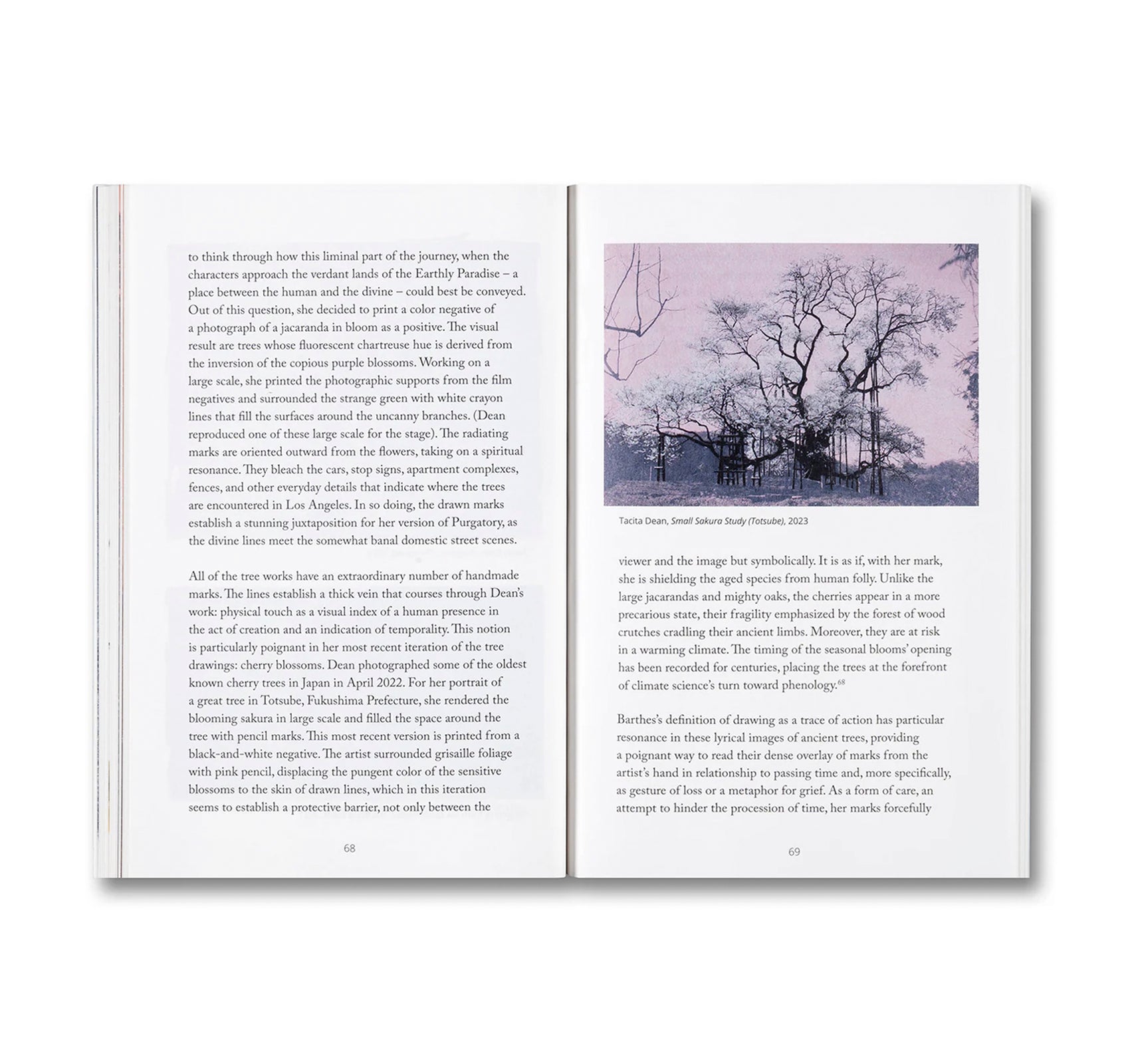 BLIND FOLLY OR HOW TACITA DEAN DRAWS by Michelle White, Tacita Dean