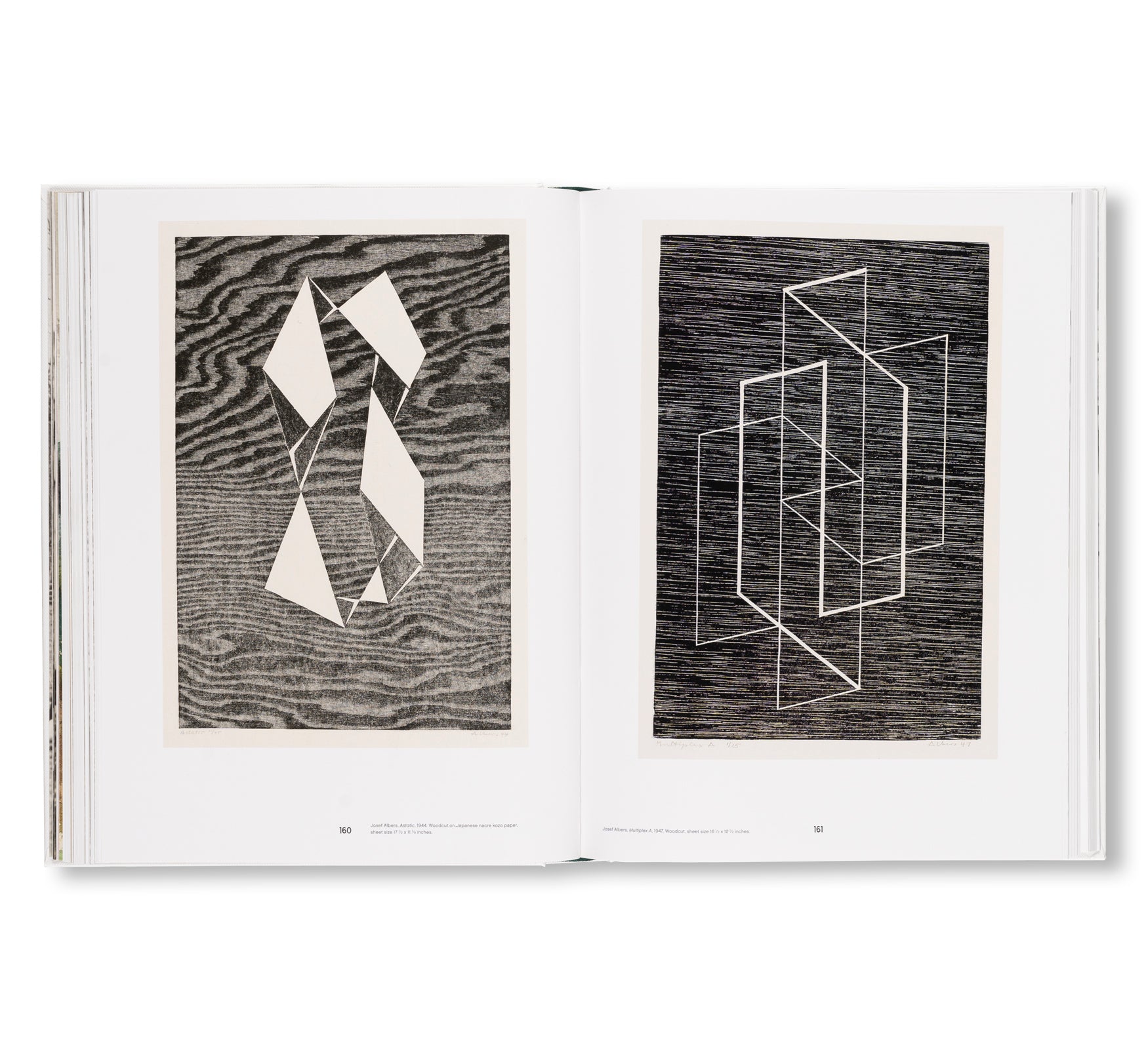 LEAP BEFORE YOU LOOK by Helen Molesworth