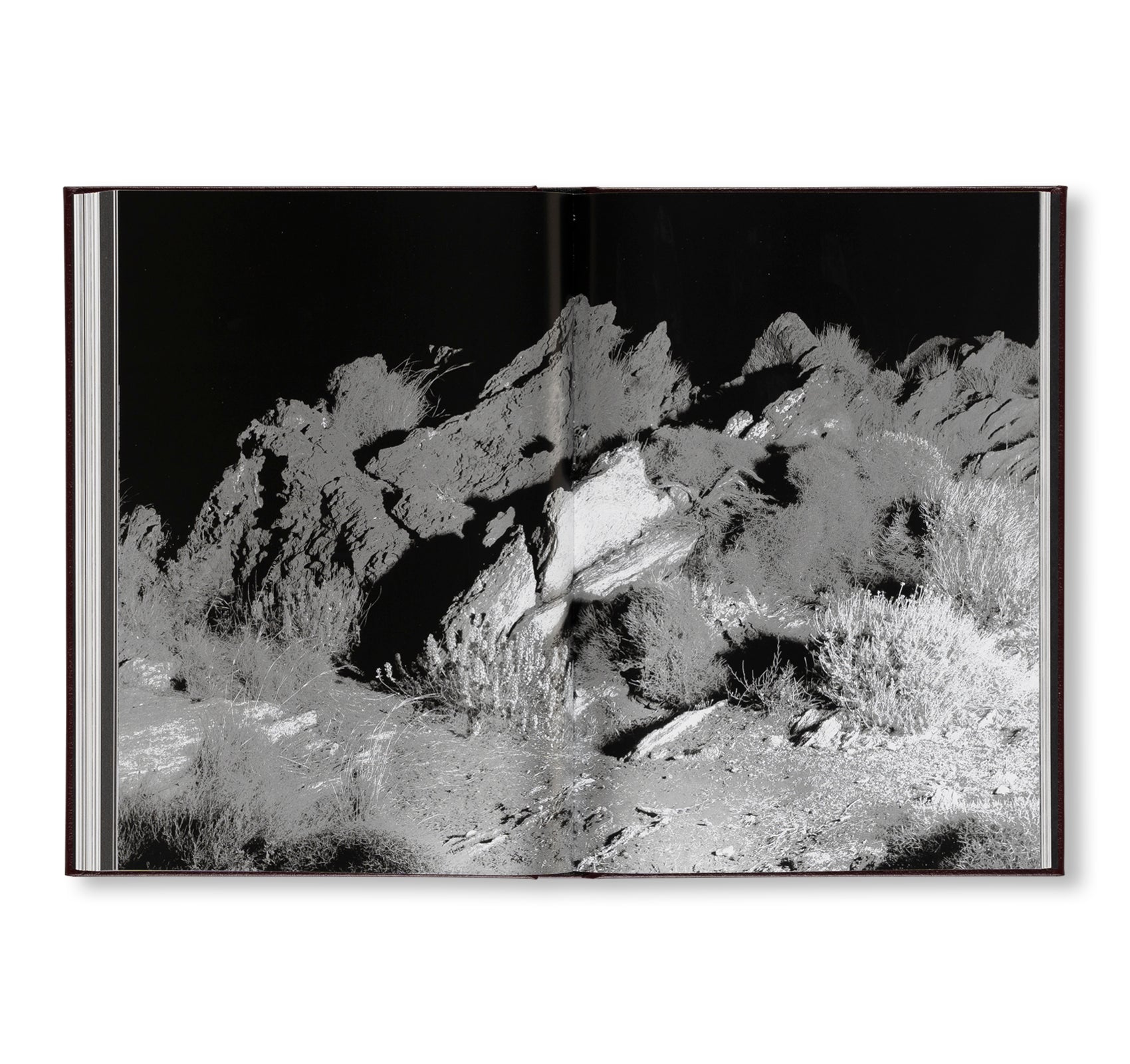 NULA by Irena Haiduk, Blakey Bessire