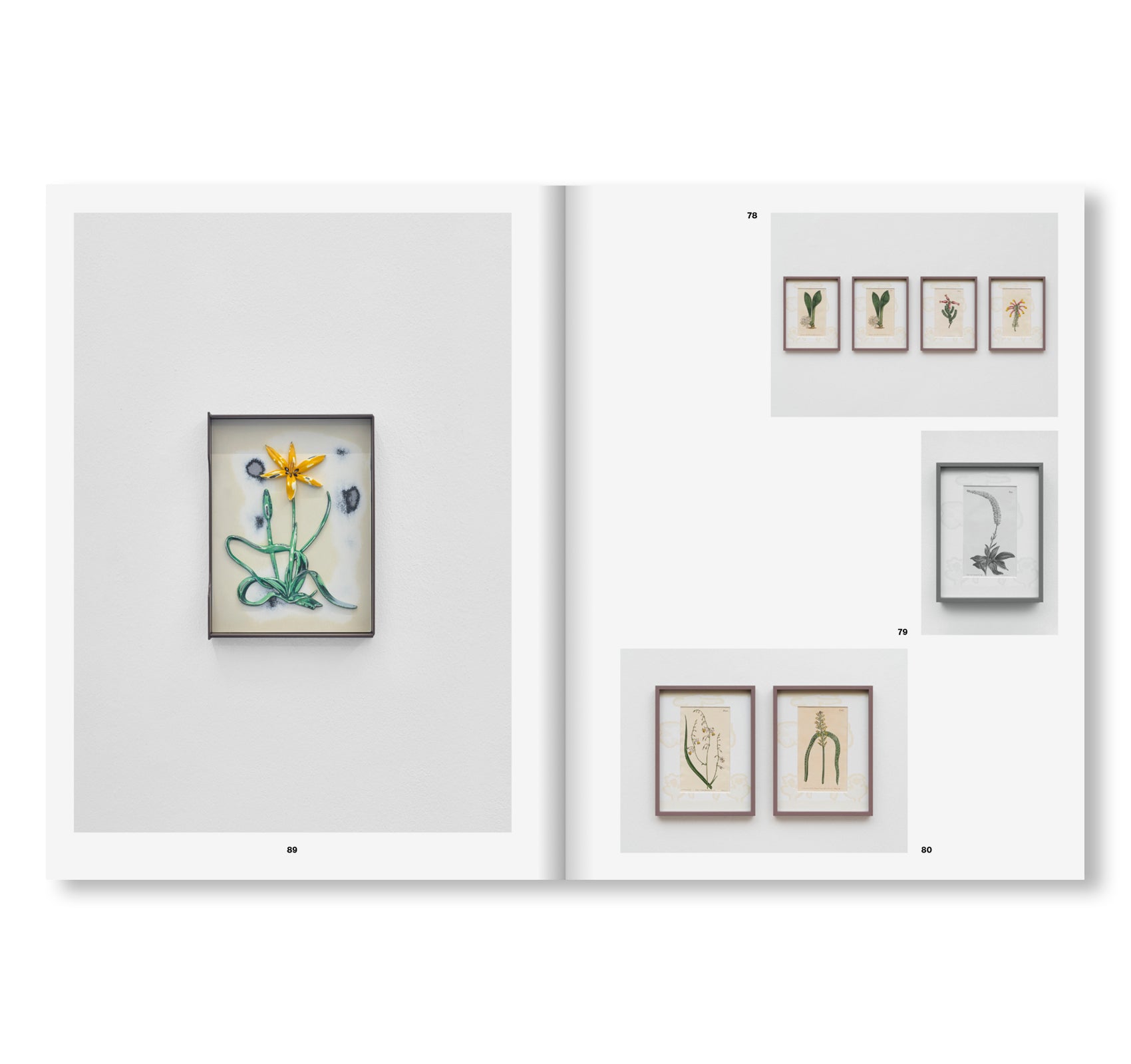 OUR VOLUMES by Magali Reus