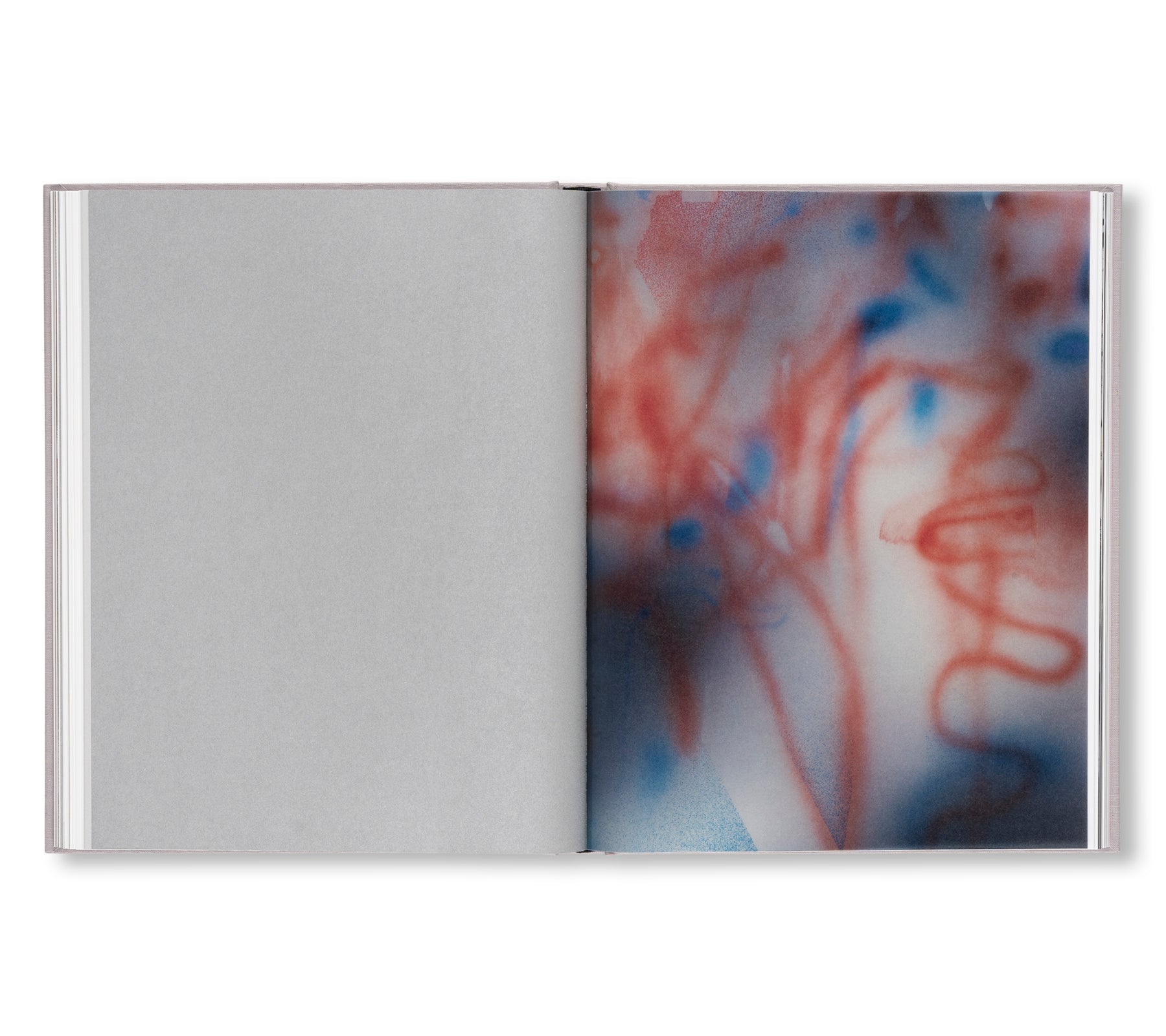 A TRANSCORE OF THE RADICAL IMAGINATORY by Julie Mehretu