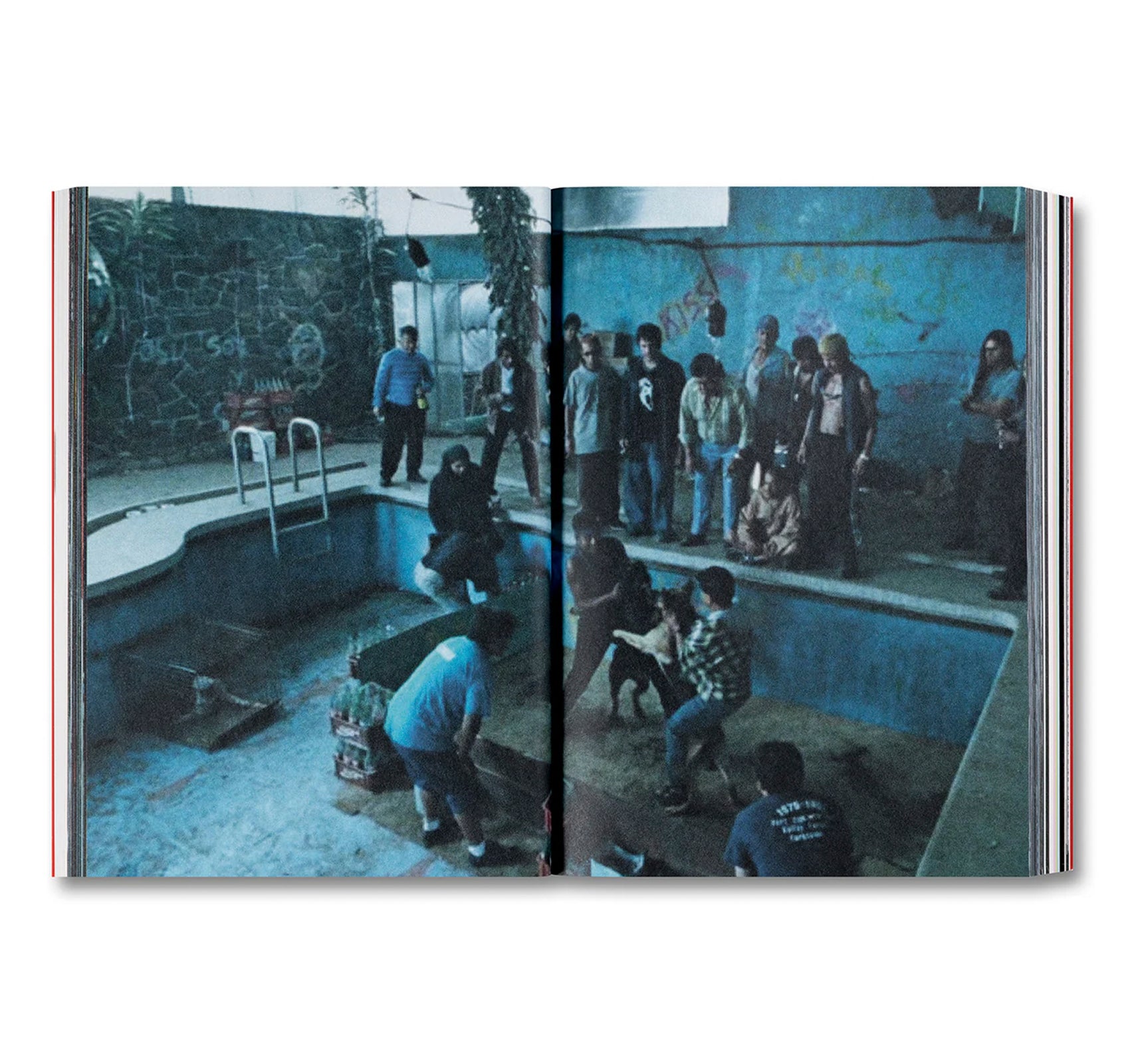 AMORES PERROS by Alejandro G. Iñárritu