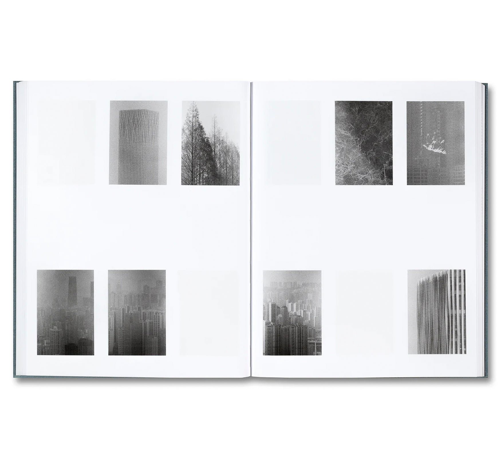 DISTRIBUTION by Daniel Shea [SIGNED]