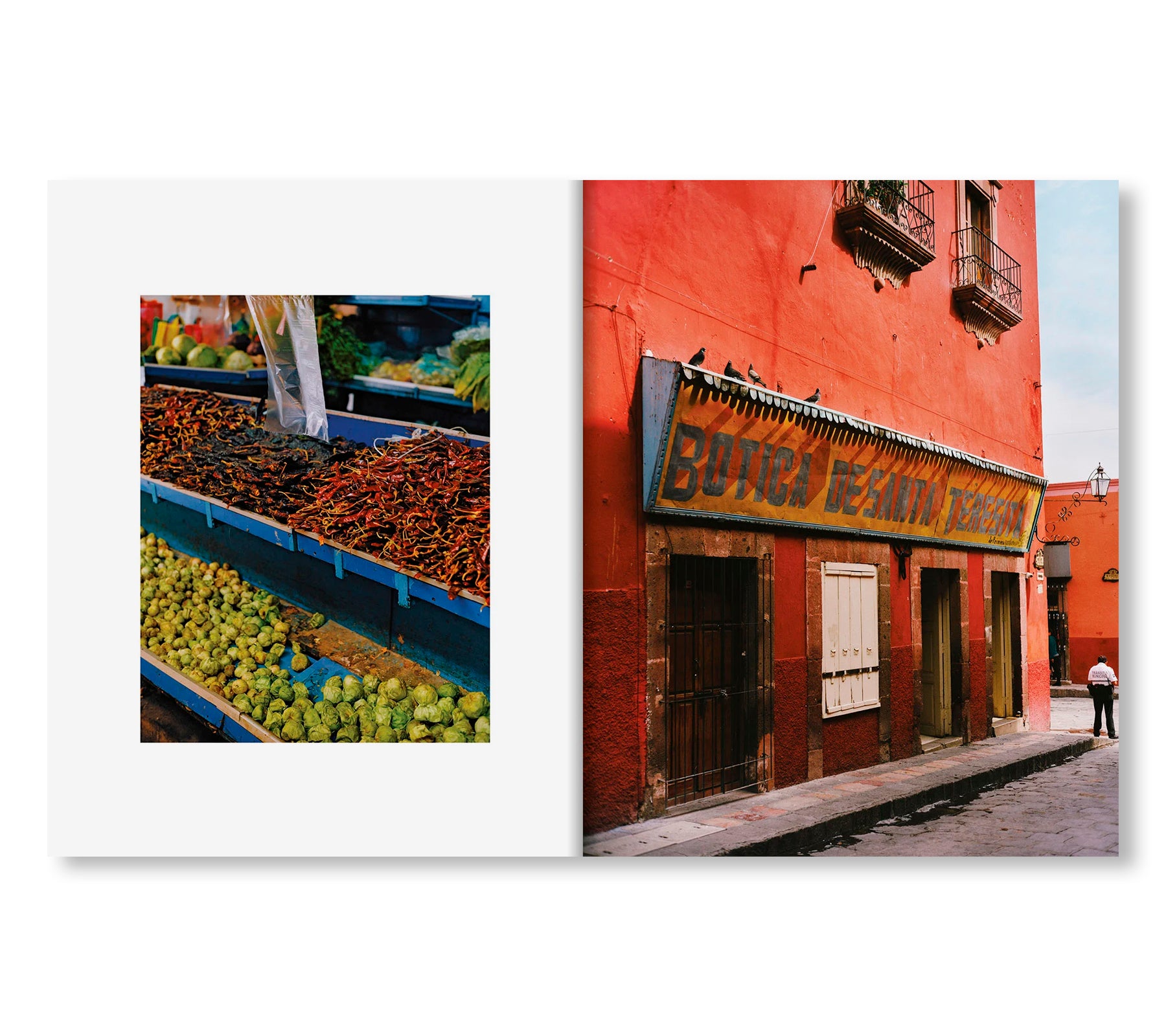 EL BAJÍO: RECIPES & WANDERINGS