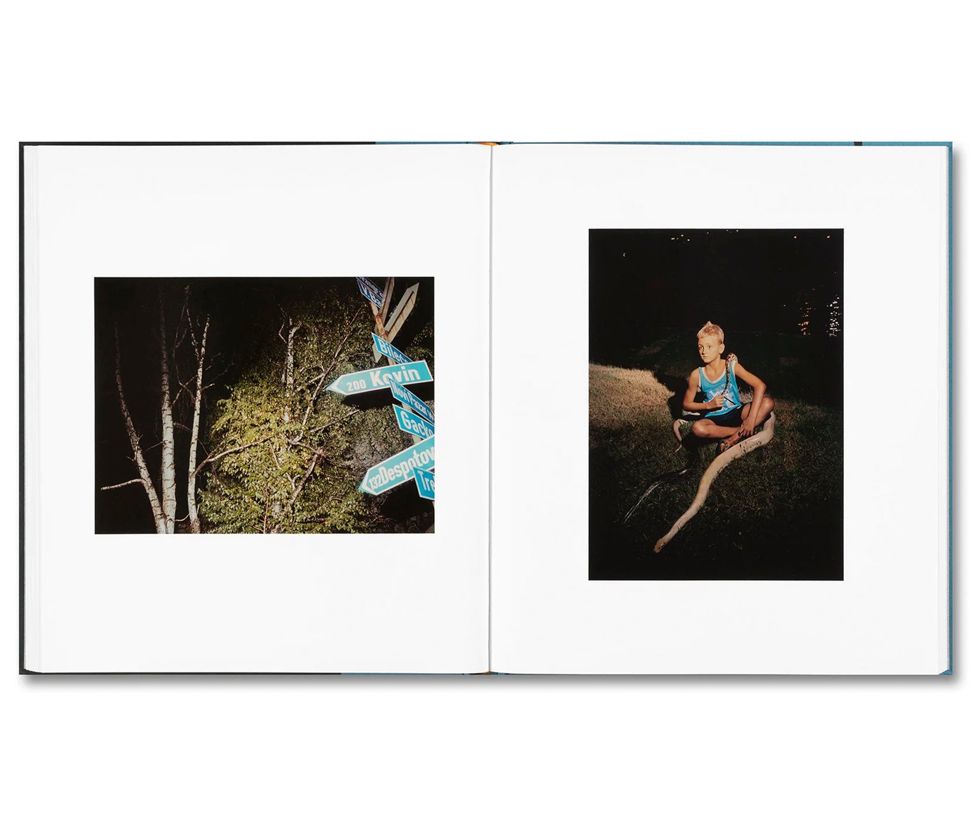 MOUNTAIN BLACK HEART by Irina Rozovsky [SIGNED]