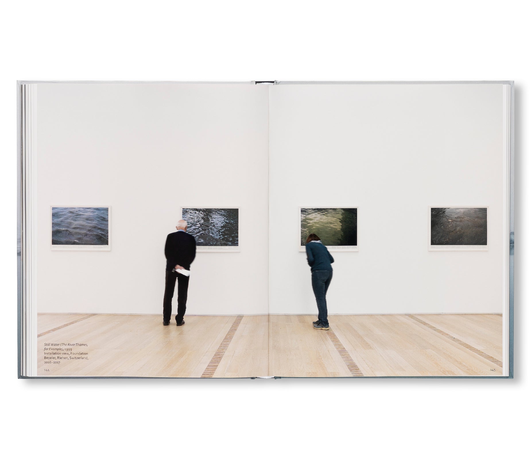 RONI HORN: WATER WATER ON THE WALL, YOU’RE THE FAIREST OF THEM ALL by Roni Horn
