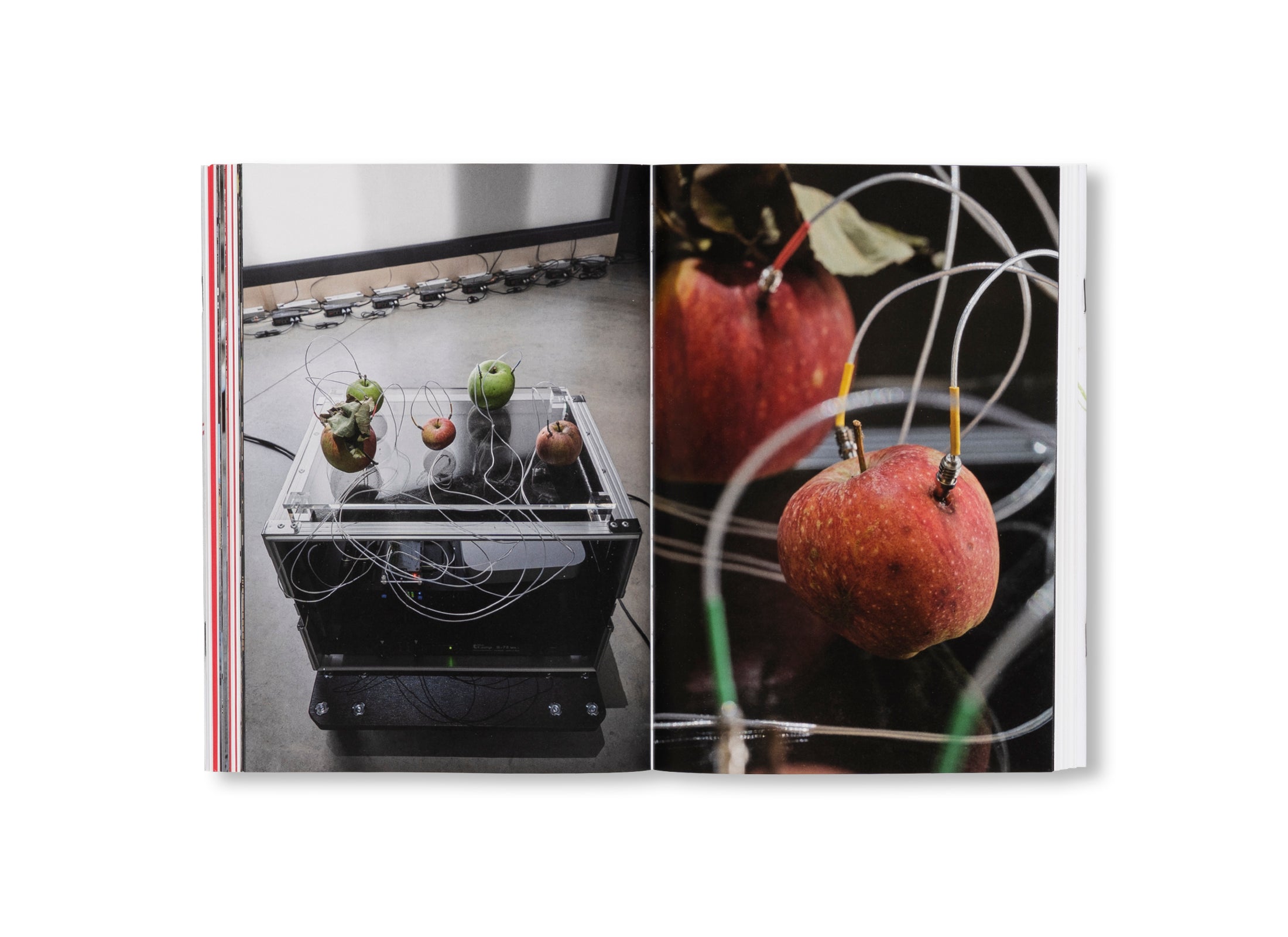 YUKO MOHRI: ENTANGLEMENTS by Yuko Mohri