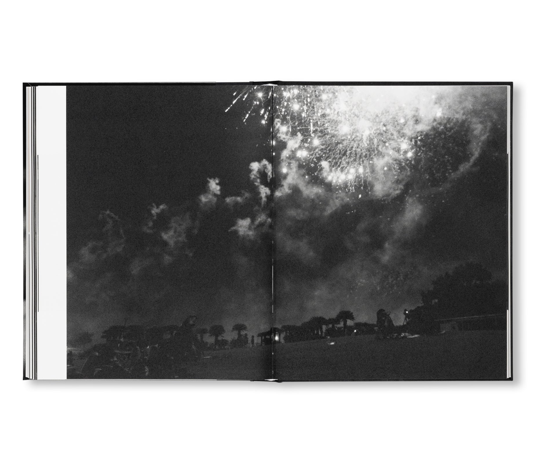 SAKIKO NOMURA: TENDER IS THE NIGHT by Sakiko Nomura