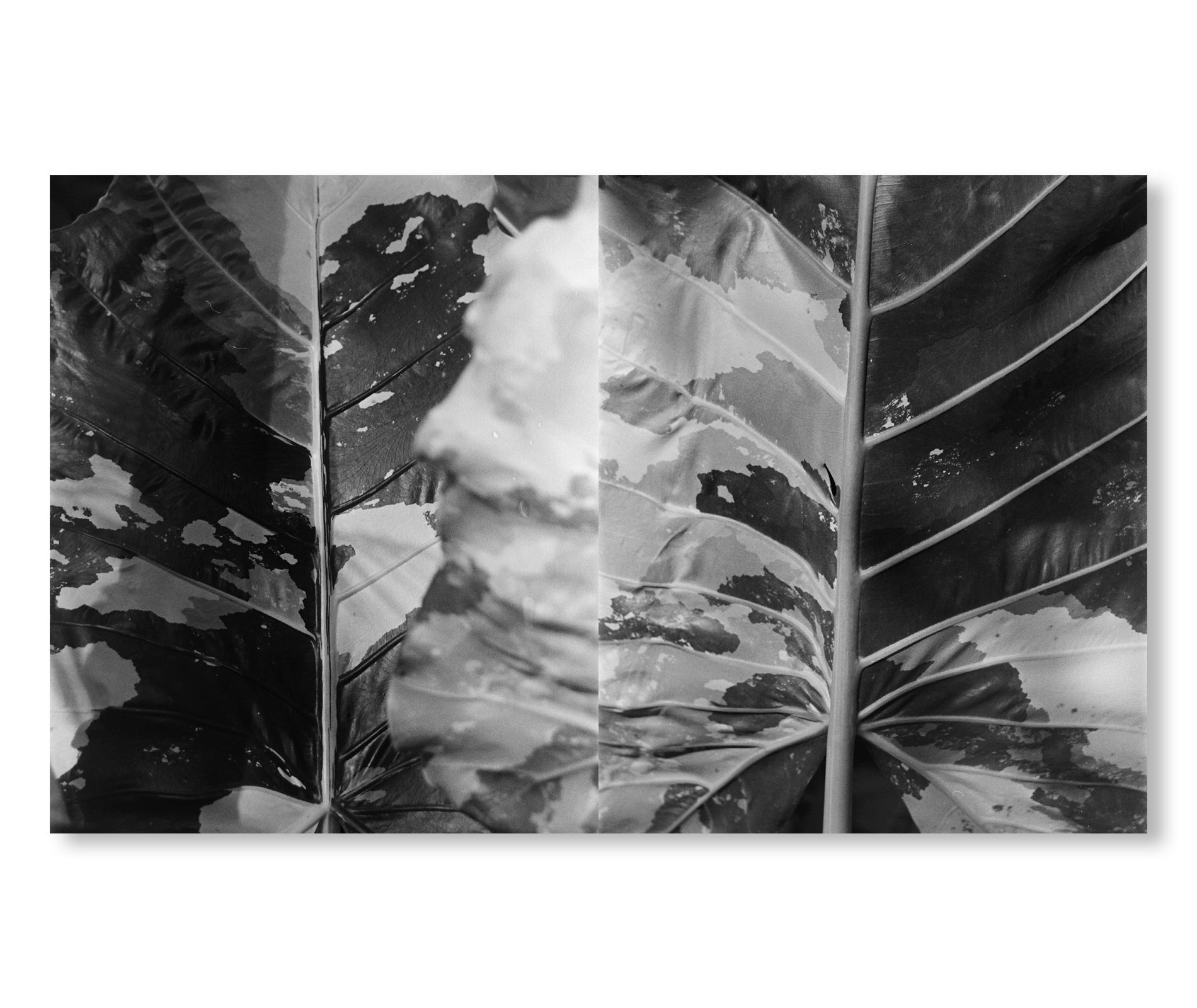 RUMAH RUBAH - A BALI HOME OF GILDAS LOAEC AND ROMY LOAEC - by Pierrot