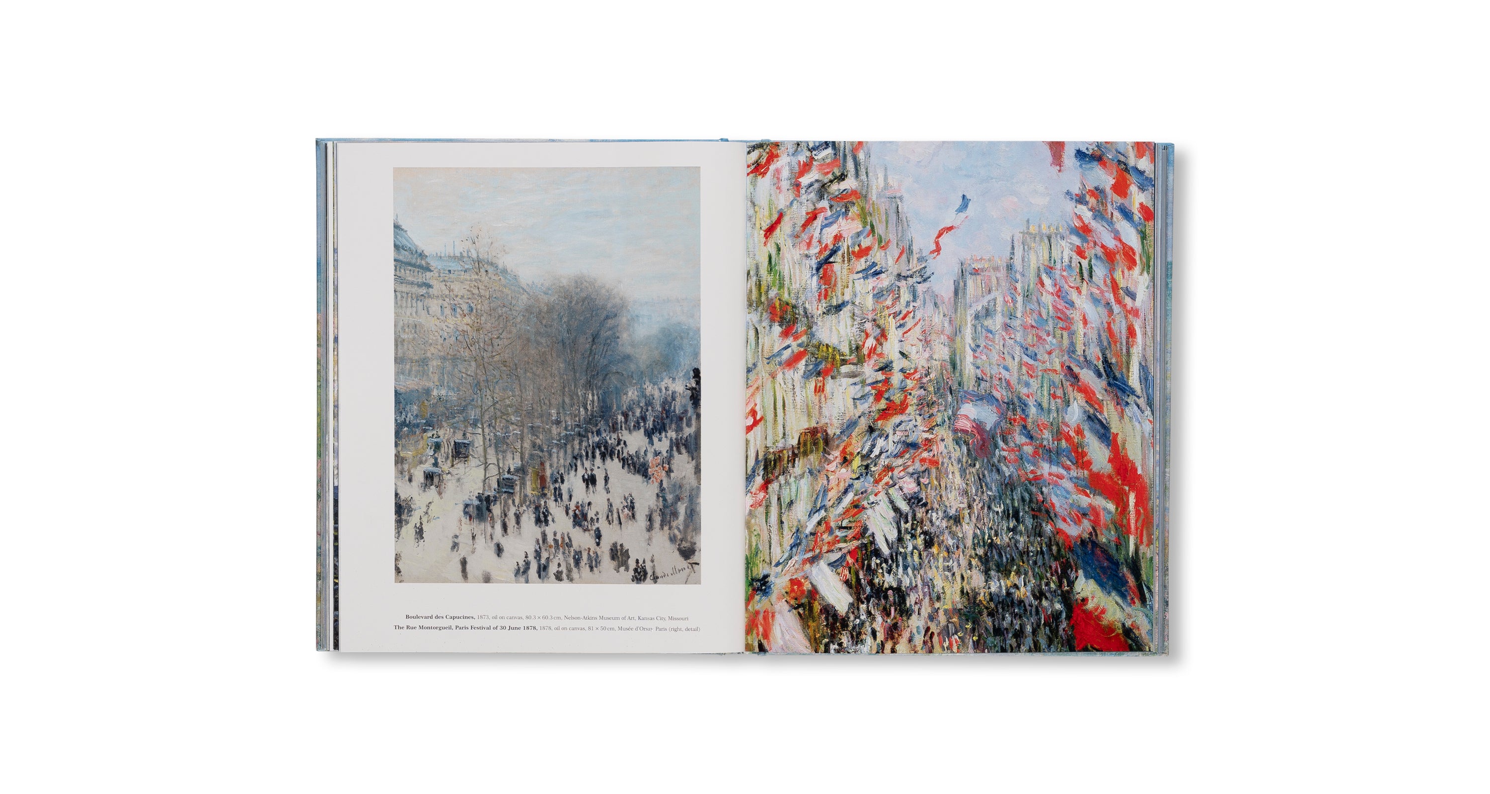 MONET - THE BIGGER PICTURE by Anne Sefrioui