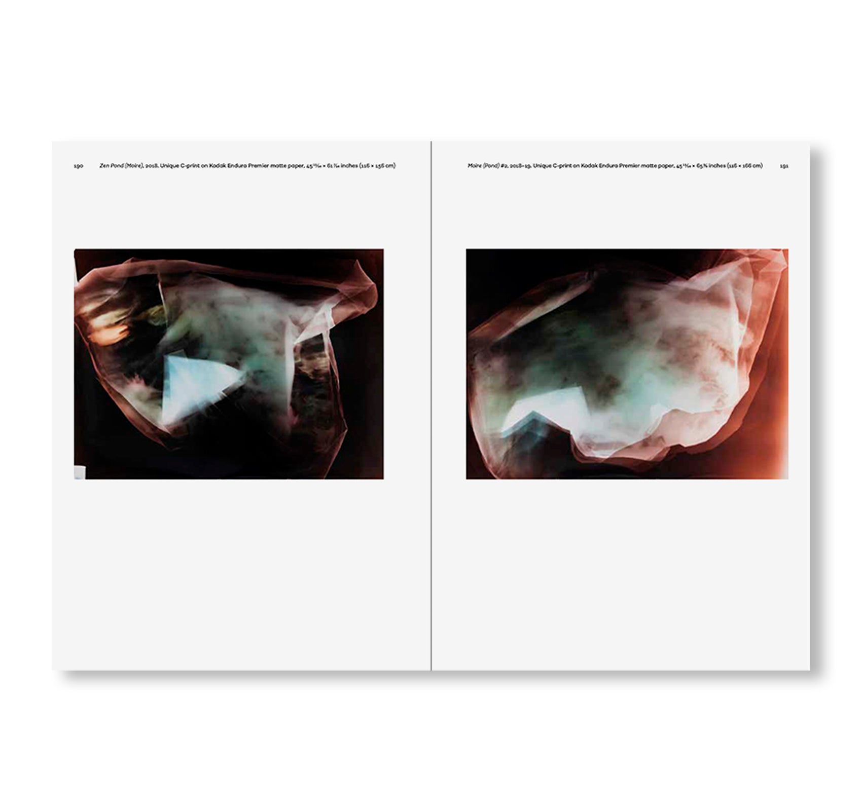 POEMS OF OUR CLIMATE by Matt Saunders