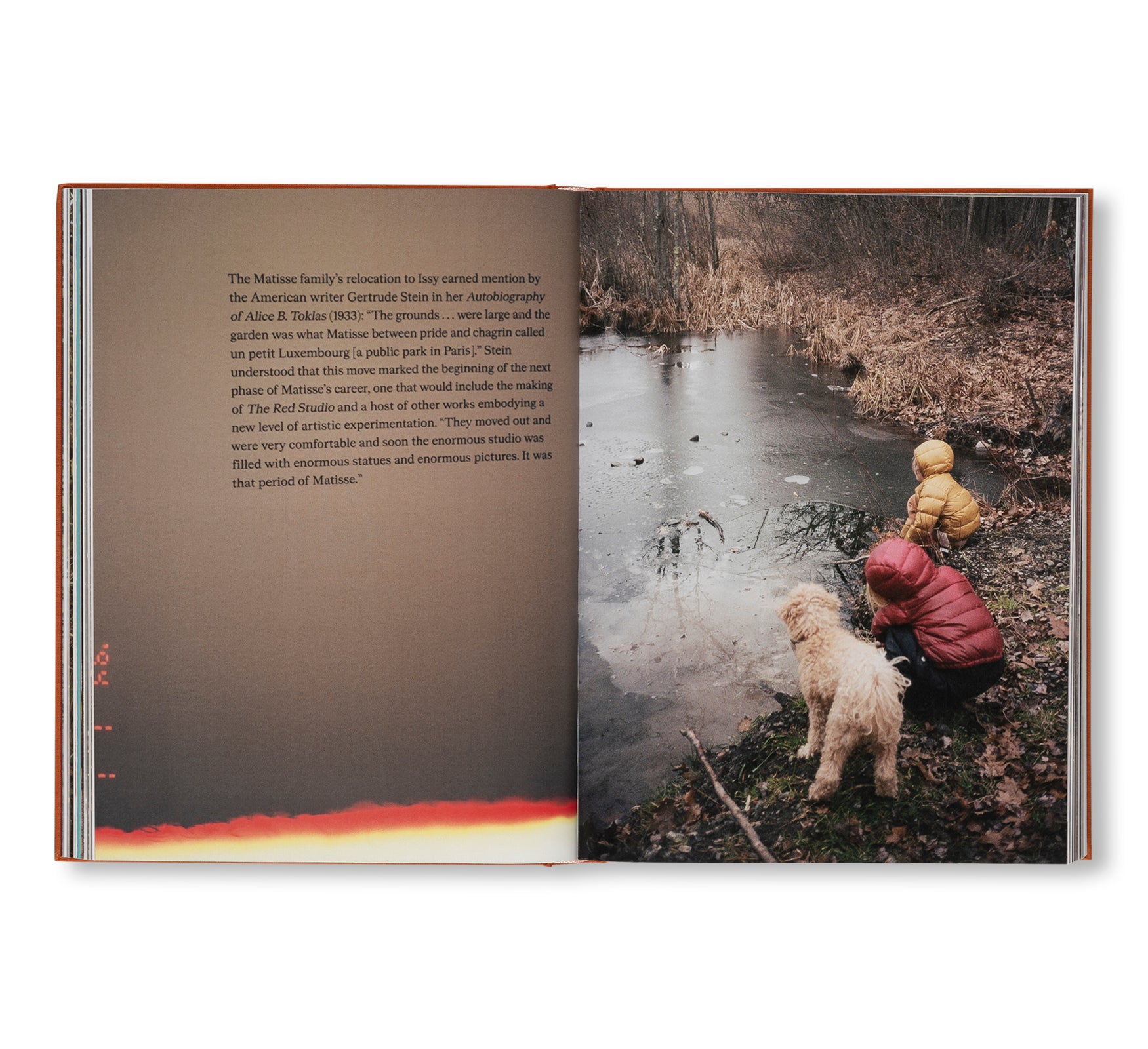 AFTER LIFE by Sam Falls