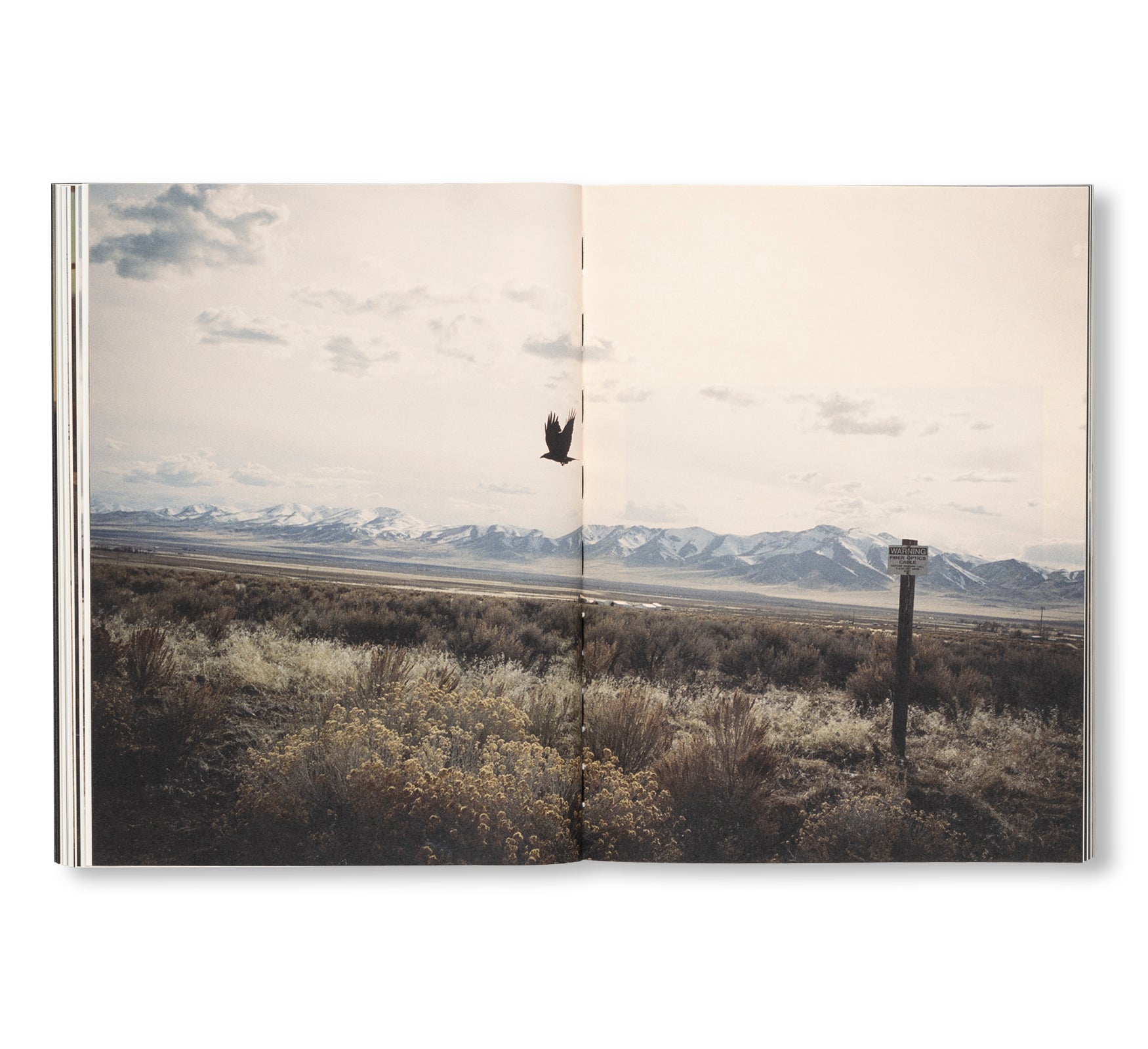 FAILING by Mike Brodie