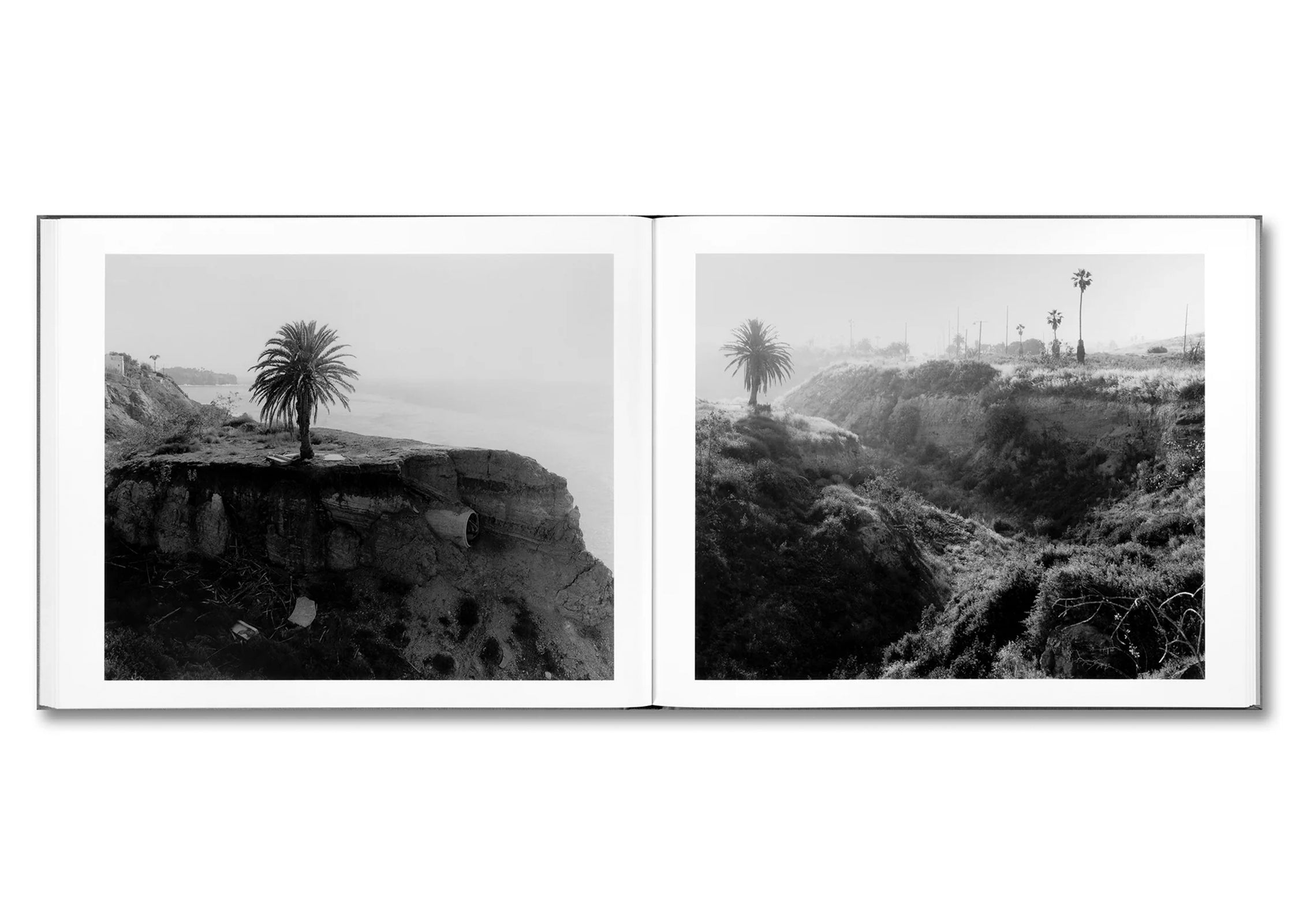 THE WESTERN EDGE by Mark Ruwedel