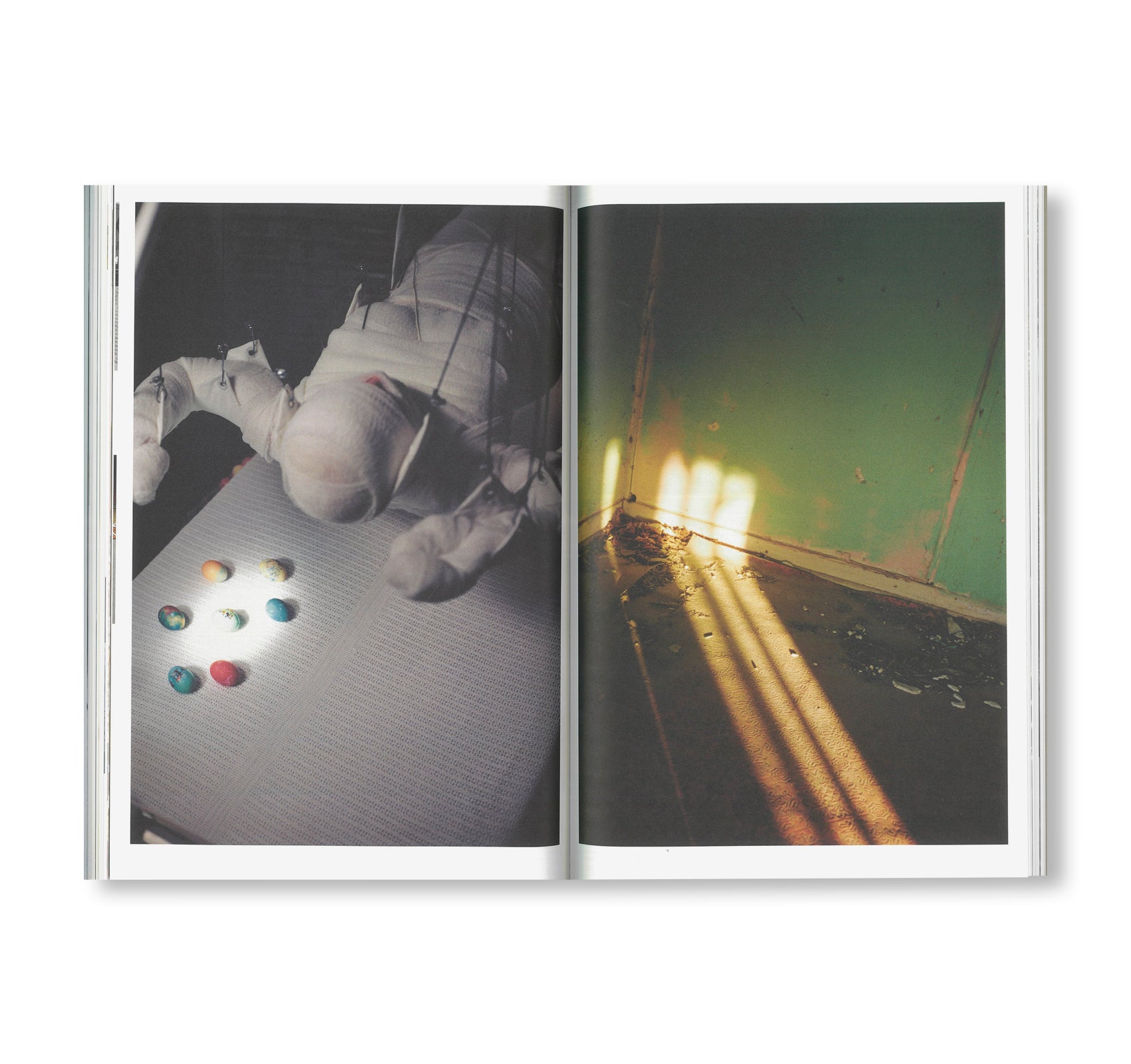 GUS VAN SANT: ICONS by Gus Van Sant