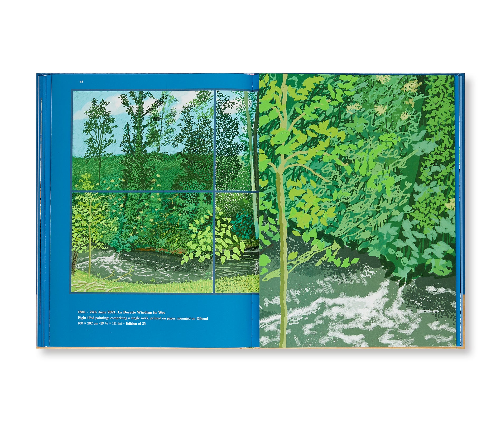 20 FLOWERS AND SOME BIGGER PICTURES by David Hockney