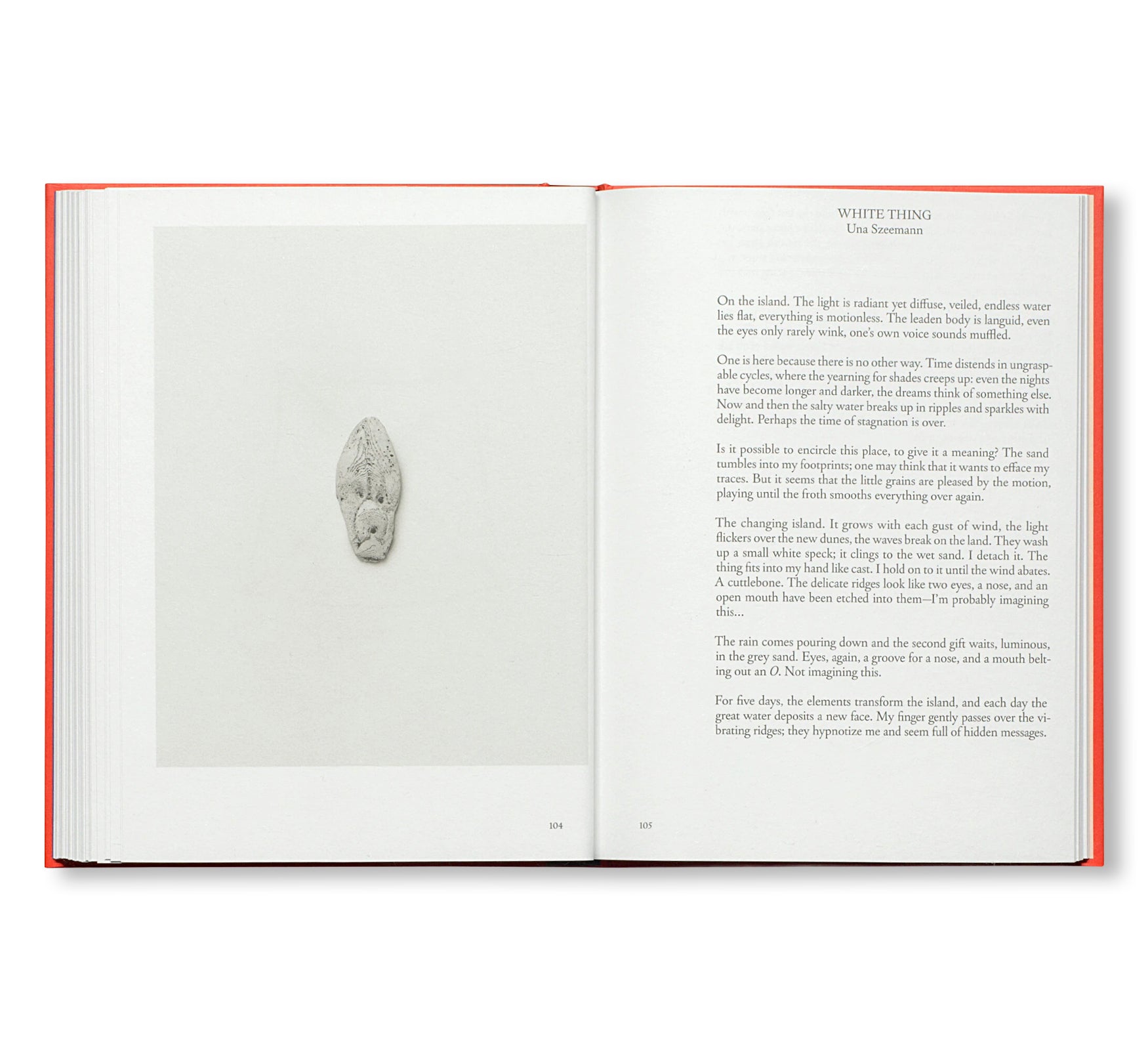PRETENZIONE INTENZIONE – OBJECTS OF BEAUTY AND BEWILDERMENT FROM THE ARCHIVE OF HARALD SZEEMANN by Harald Szeemann